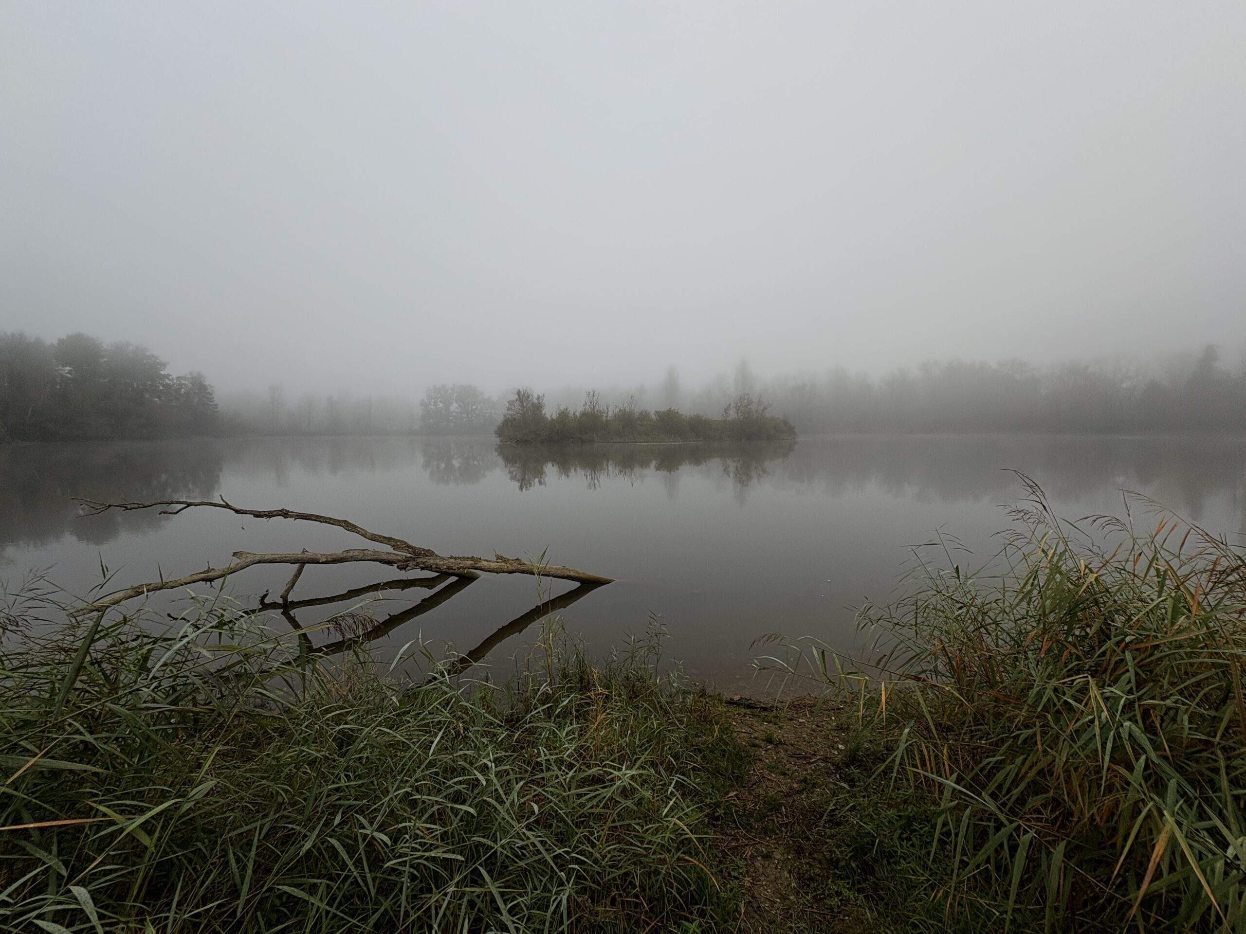 Bild ohne Beschreibung Bild ohne Beschreibung