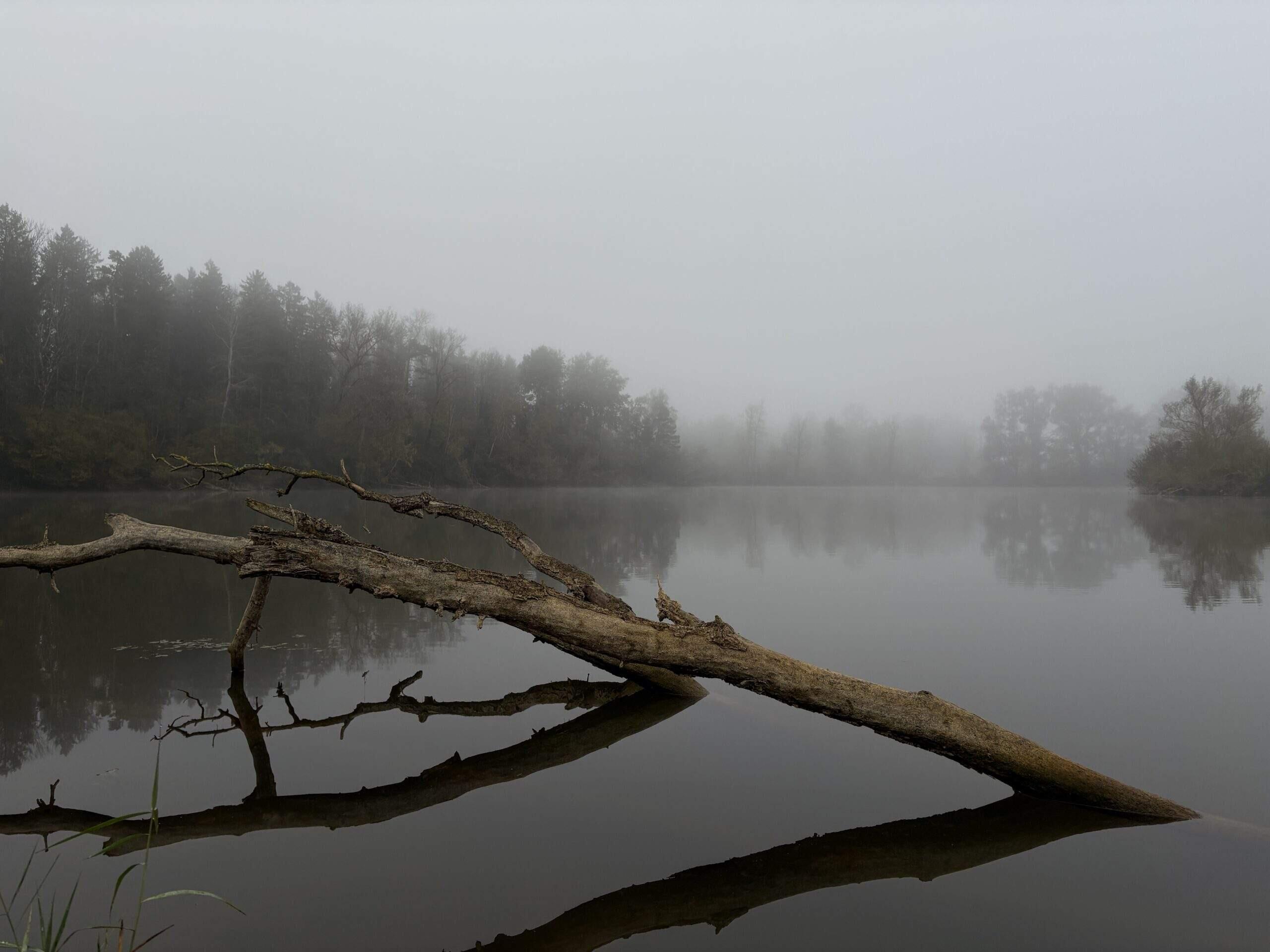 Bild ohne Beschreibung Bild ohne Beschreibung