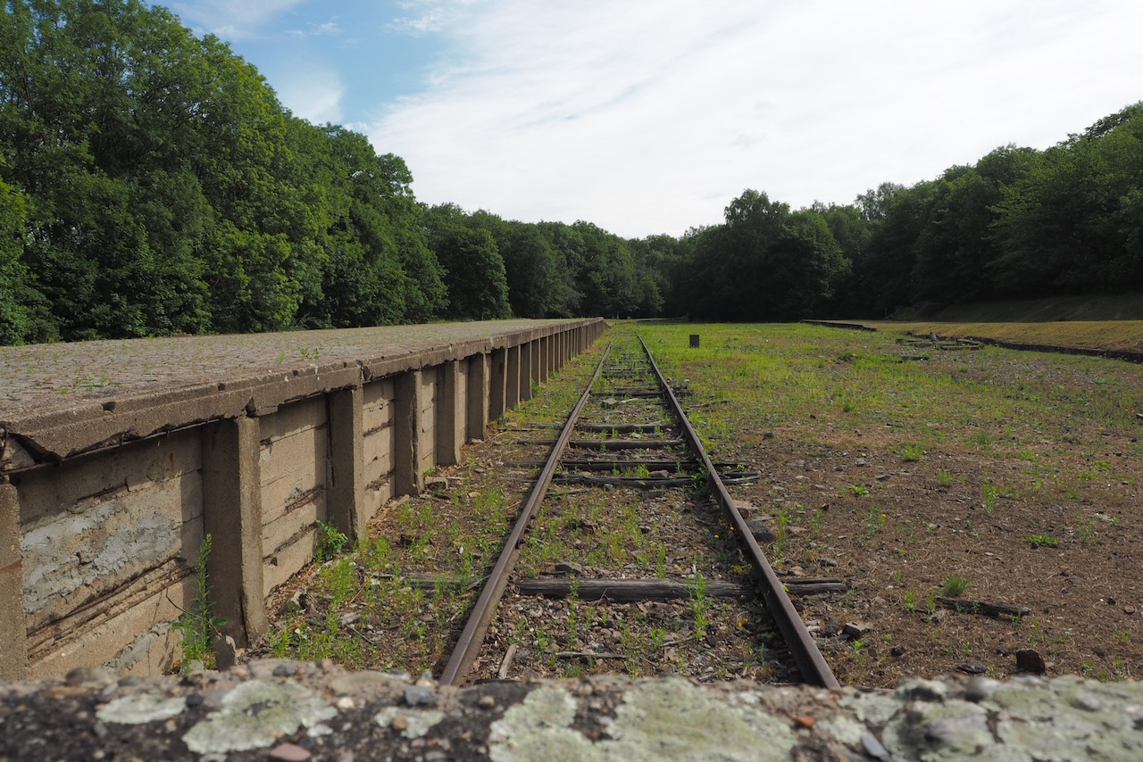 Bild ohne Beschreibung