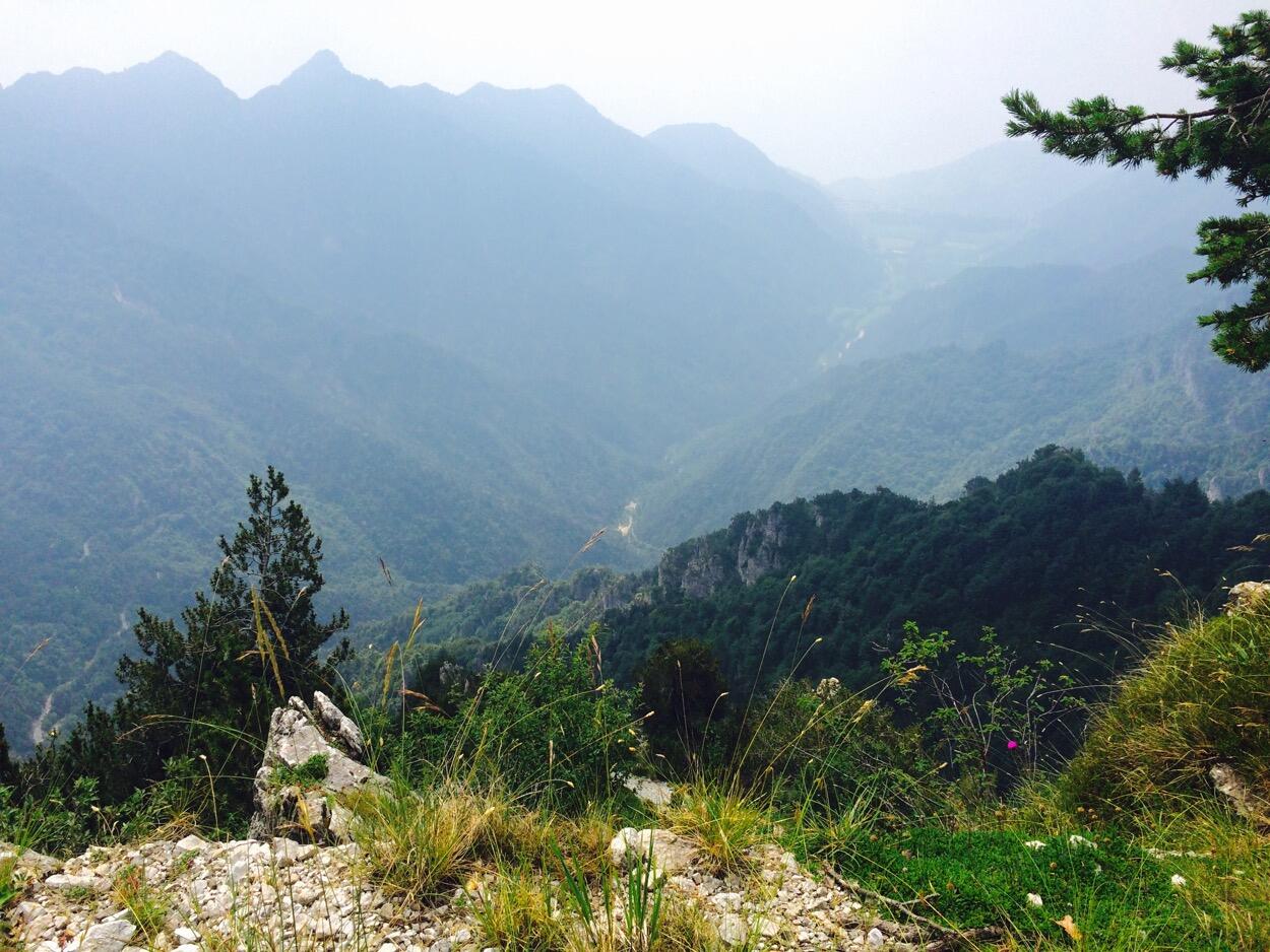 Bild ohne Beschreibung