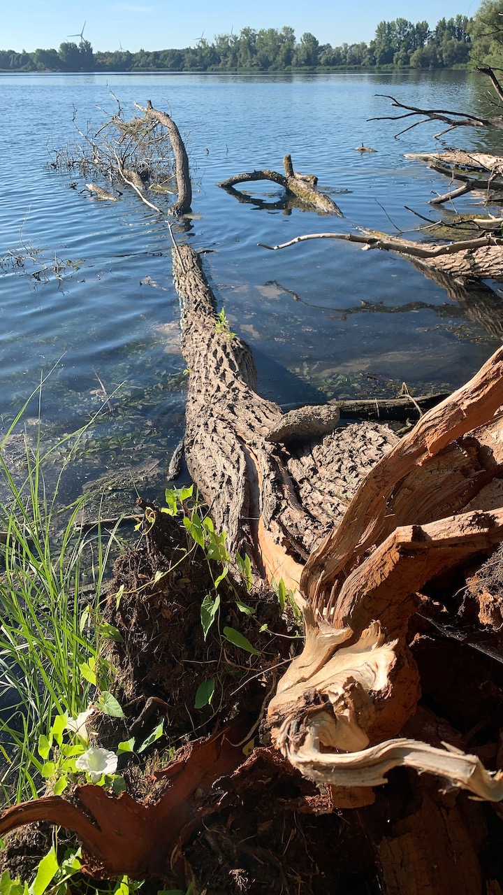 Bild ohne Beschreibung