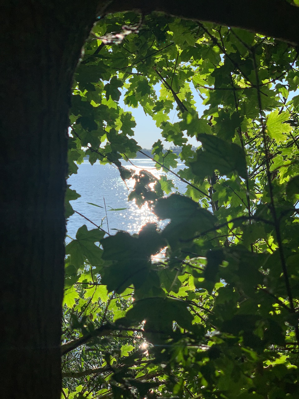 Bild ohne Beschreibung