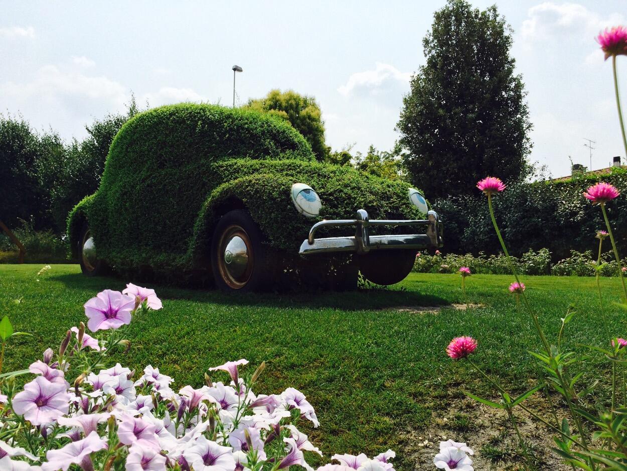 Bild ohne Beschreibung