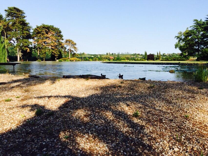 Bild ohne Beschreibung