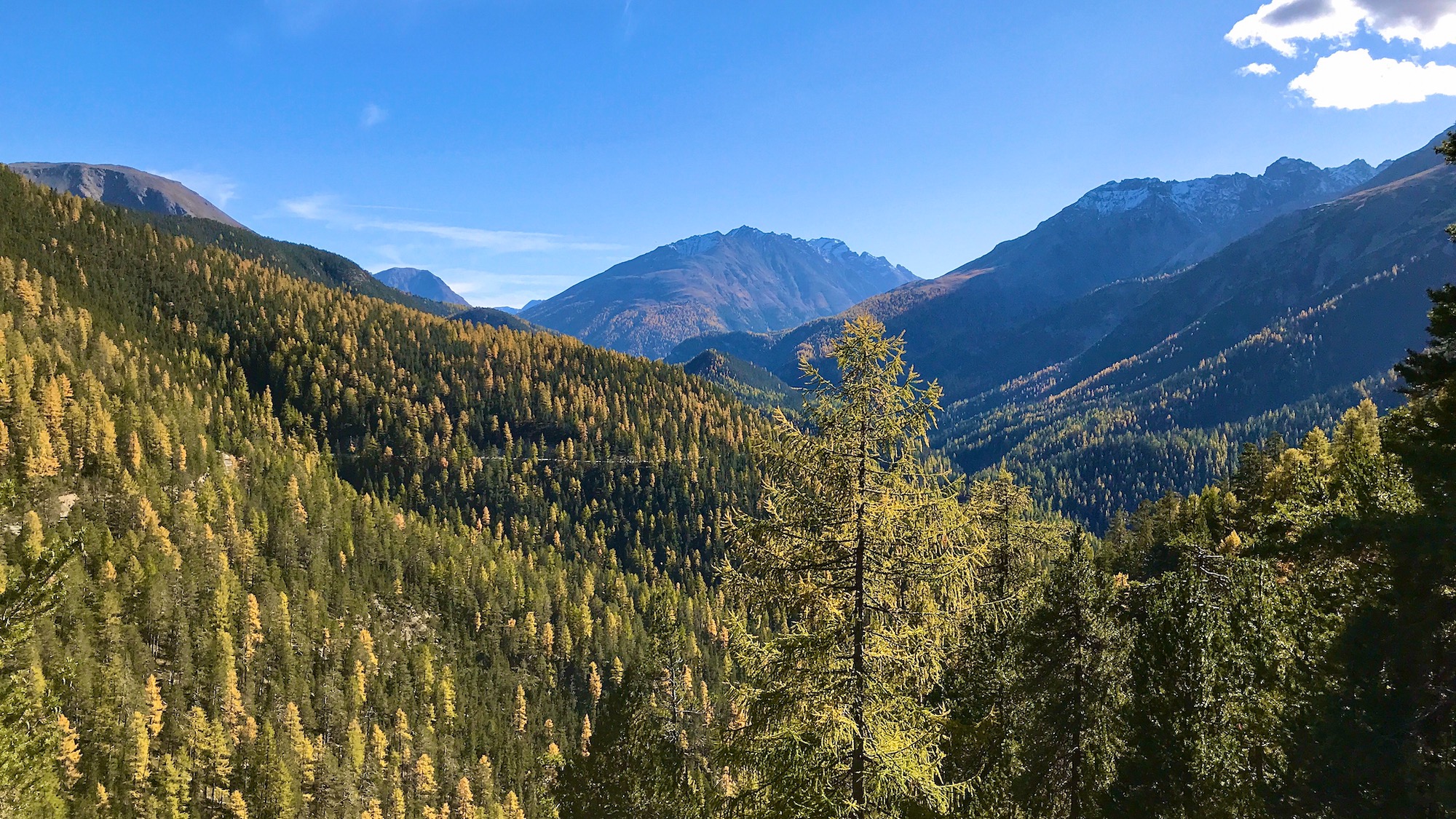 Bild ohne Beschreibung Bild ohne Beschreibung