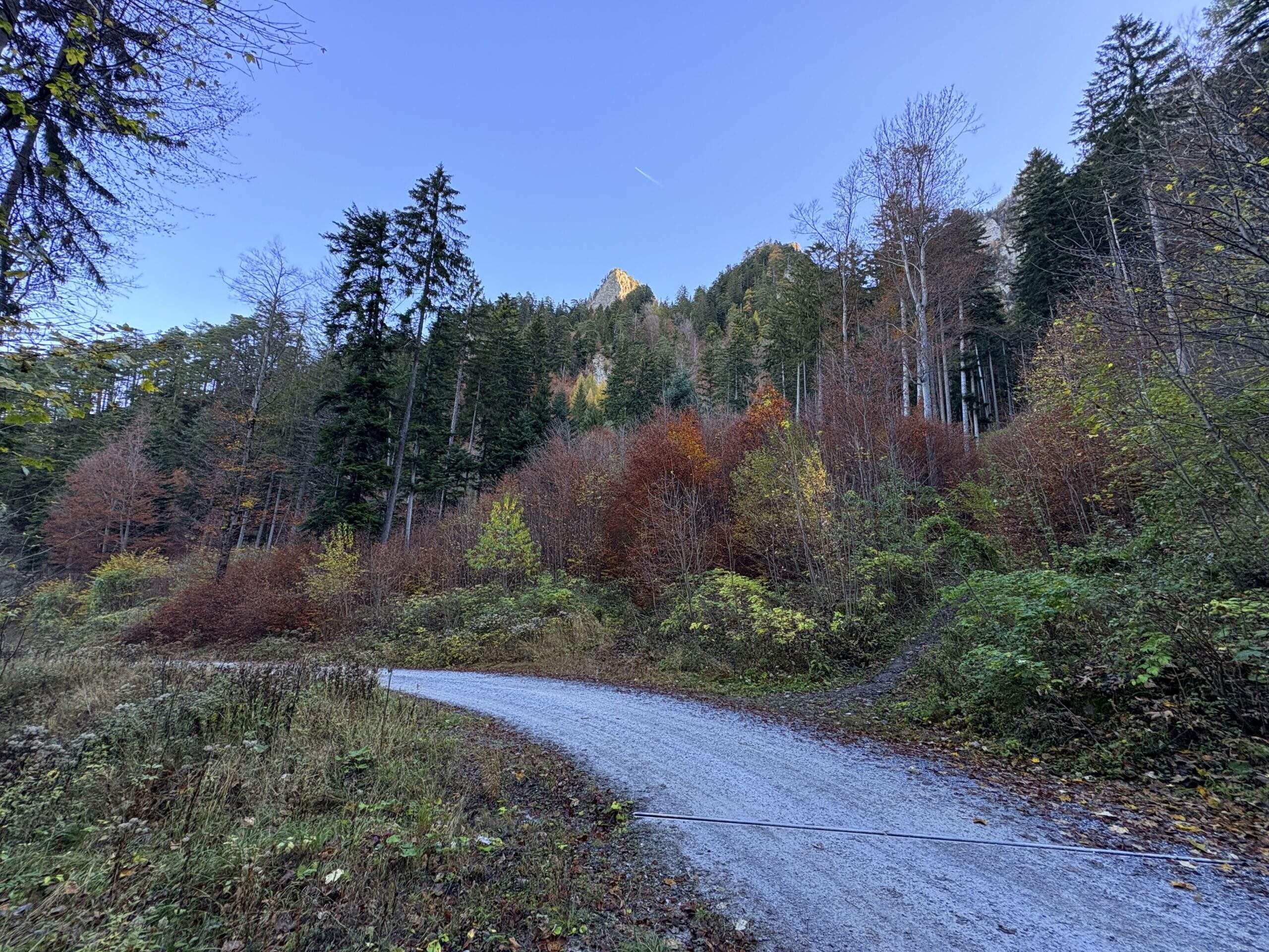 Bild ohne Beschreibung Bild ohne Beschreibung