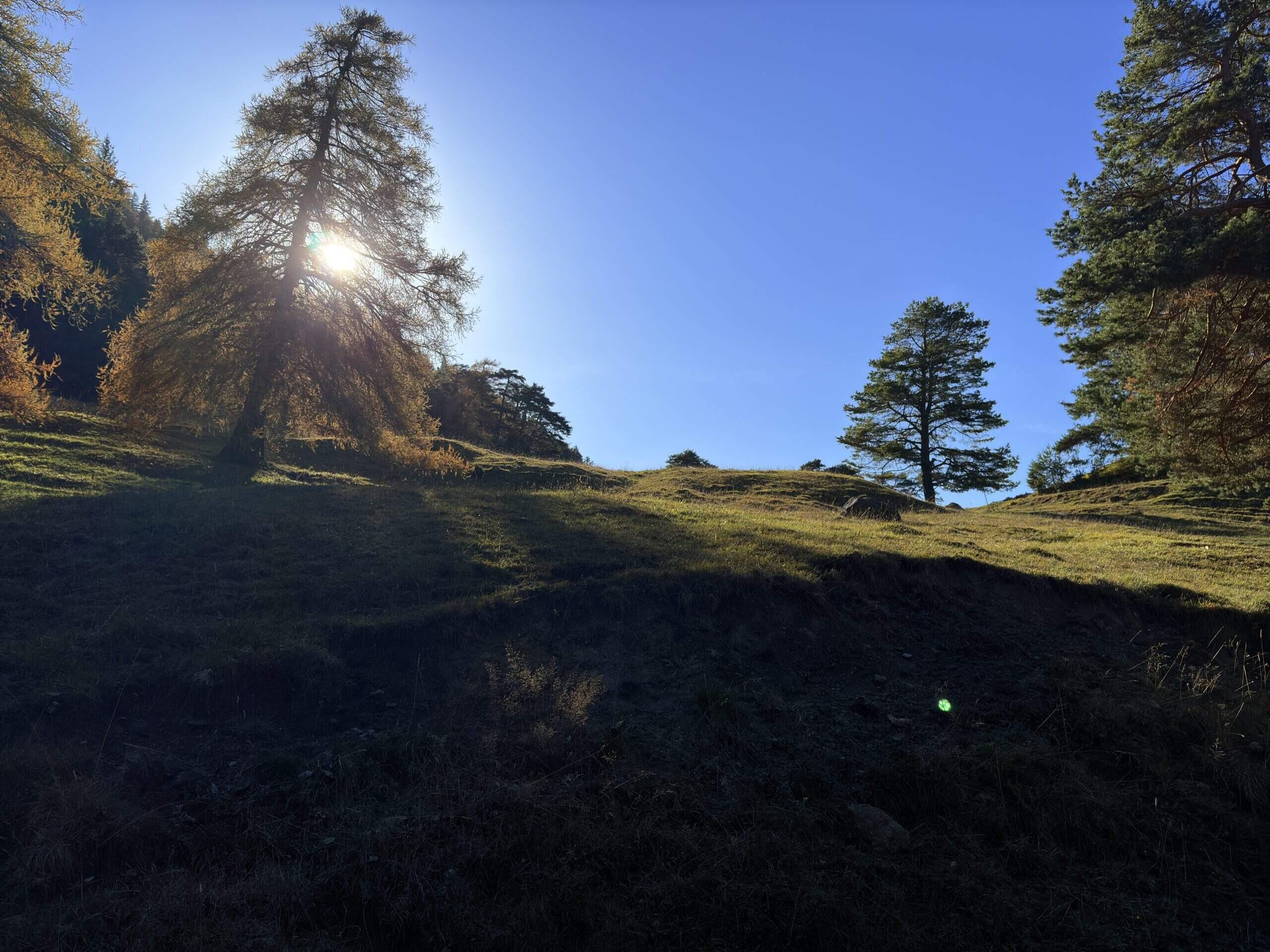 Bild ohne Beschreibung Bild ohne Beschreibung