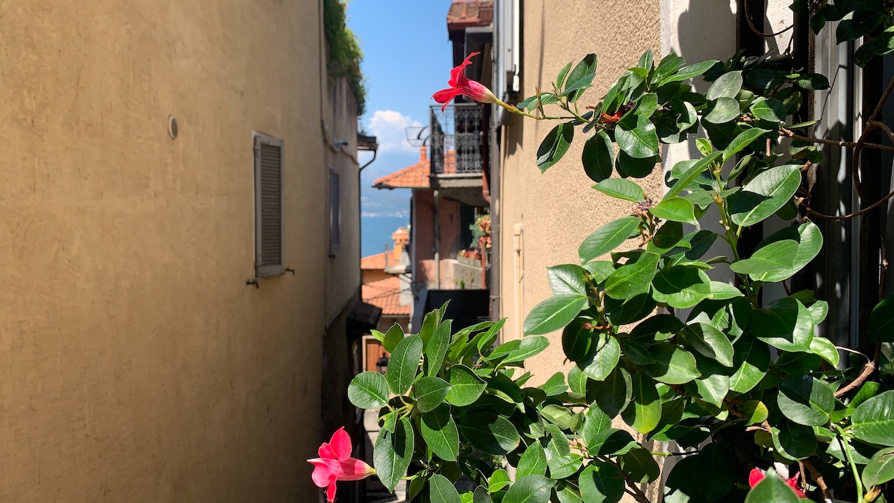 Bild ohne Beschreibung