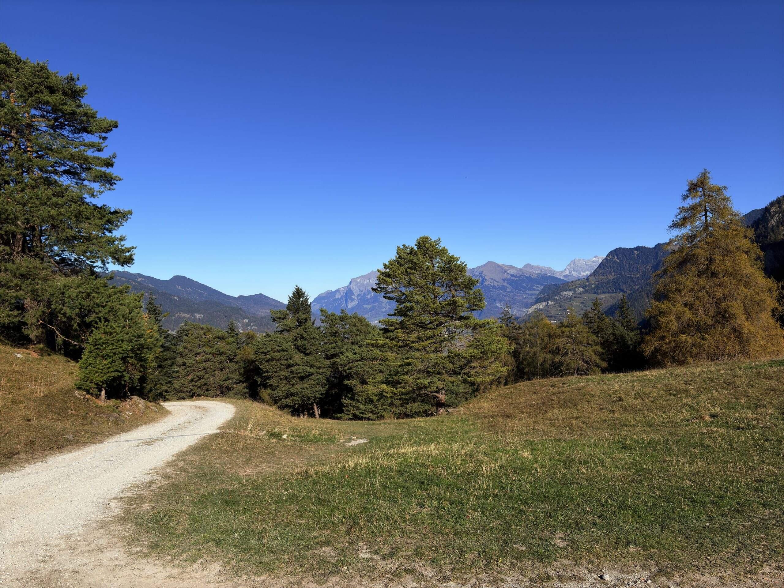 Bild ohne Beschreibung Bild ohne Beschreibung