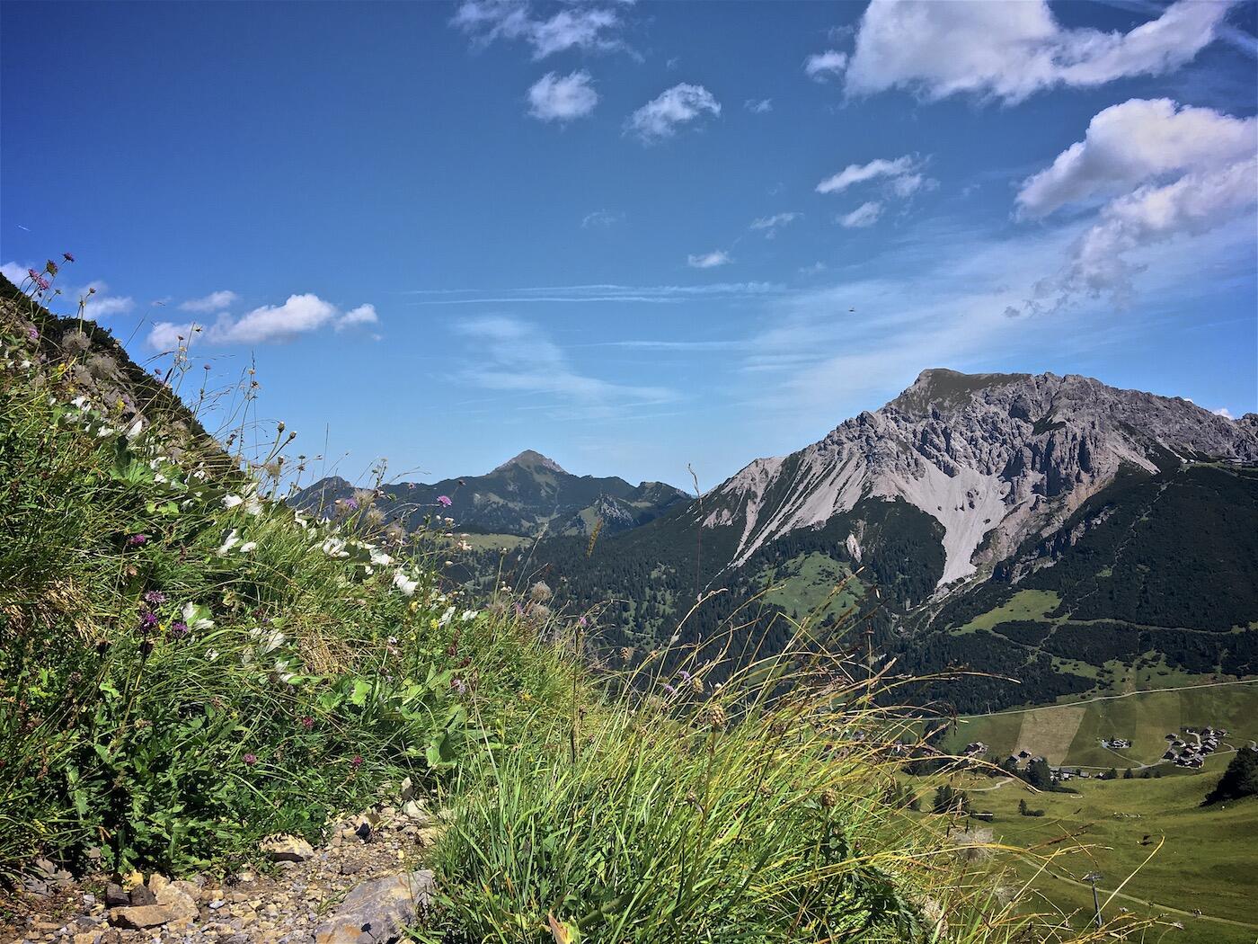 Bild ohne Beschreibung