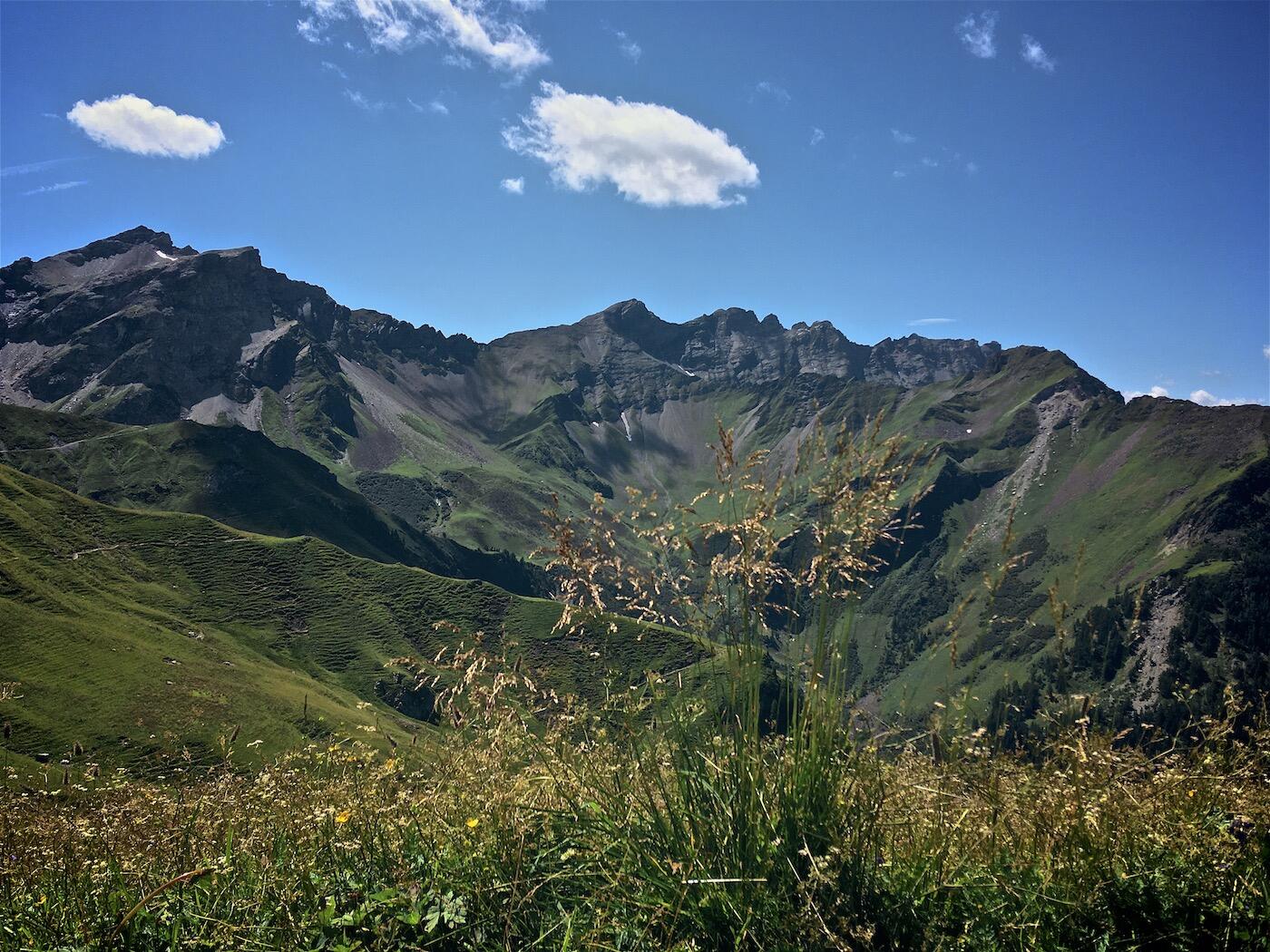 Bild ohne Beschreibung