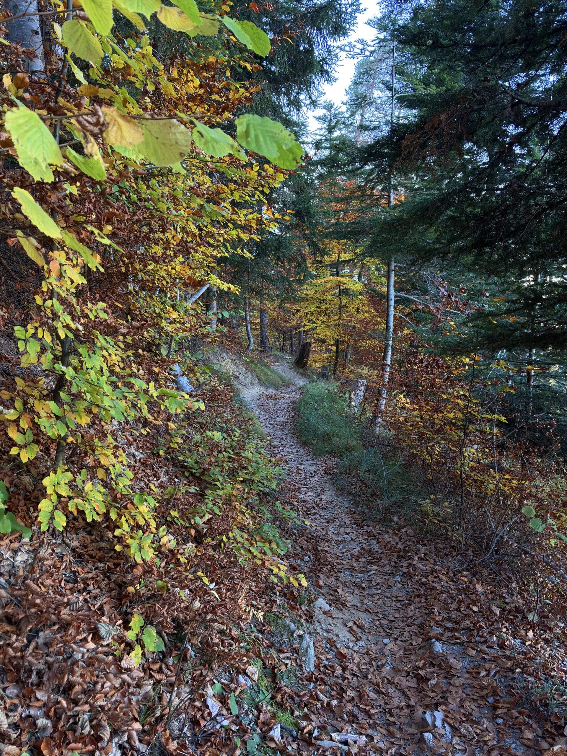 Bild ohne Beschreibung Bild ohne Beschreibung