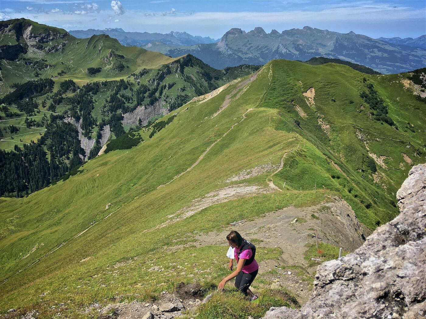 Bild ohne Beschreibung