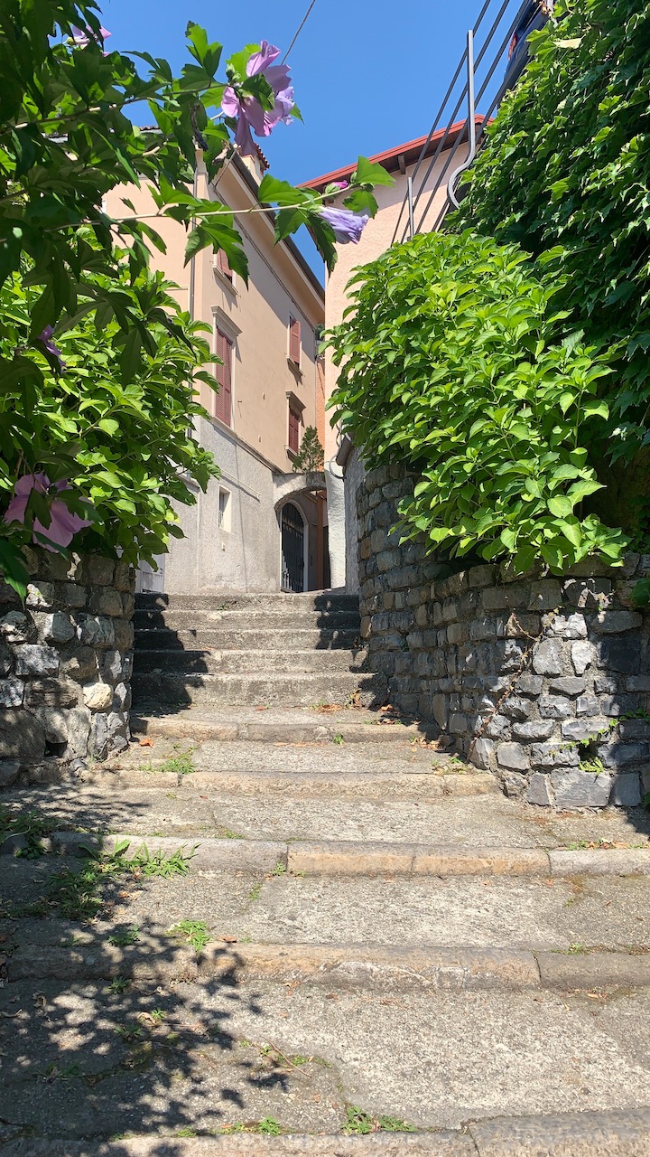 Bild ohne Beschreibung