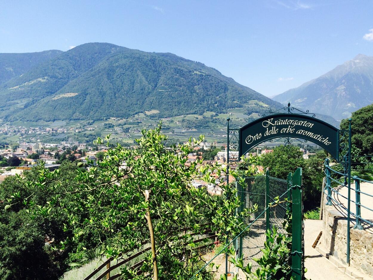 Bild ohne Beschreibung