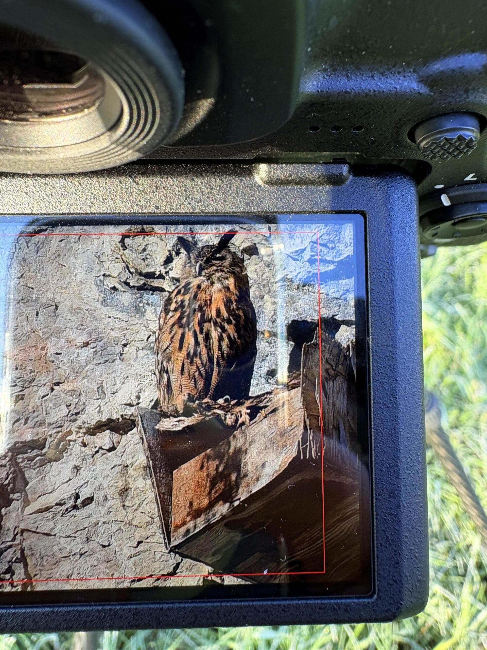 Bild ohne Beschreibung Bild ohne Beschreibung