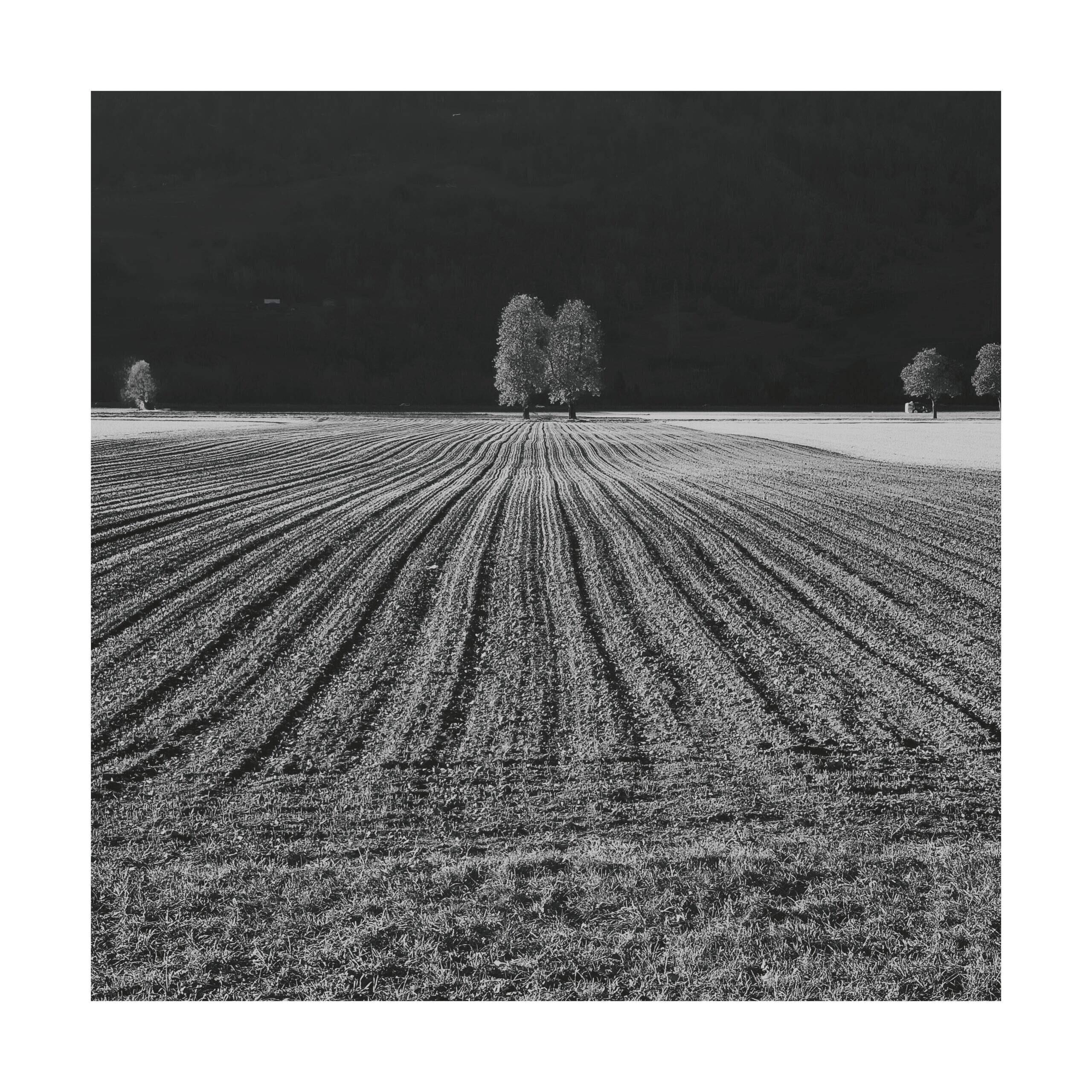 Bild ohne Beschreibung Bild ohne Beschreibung