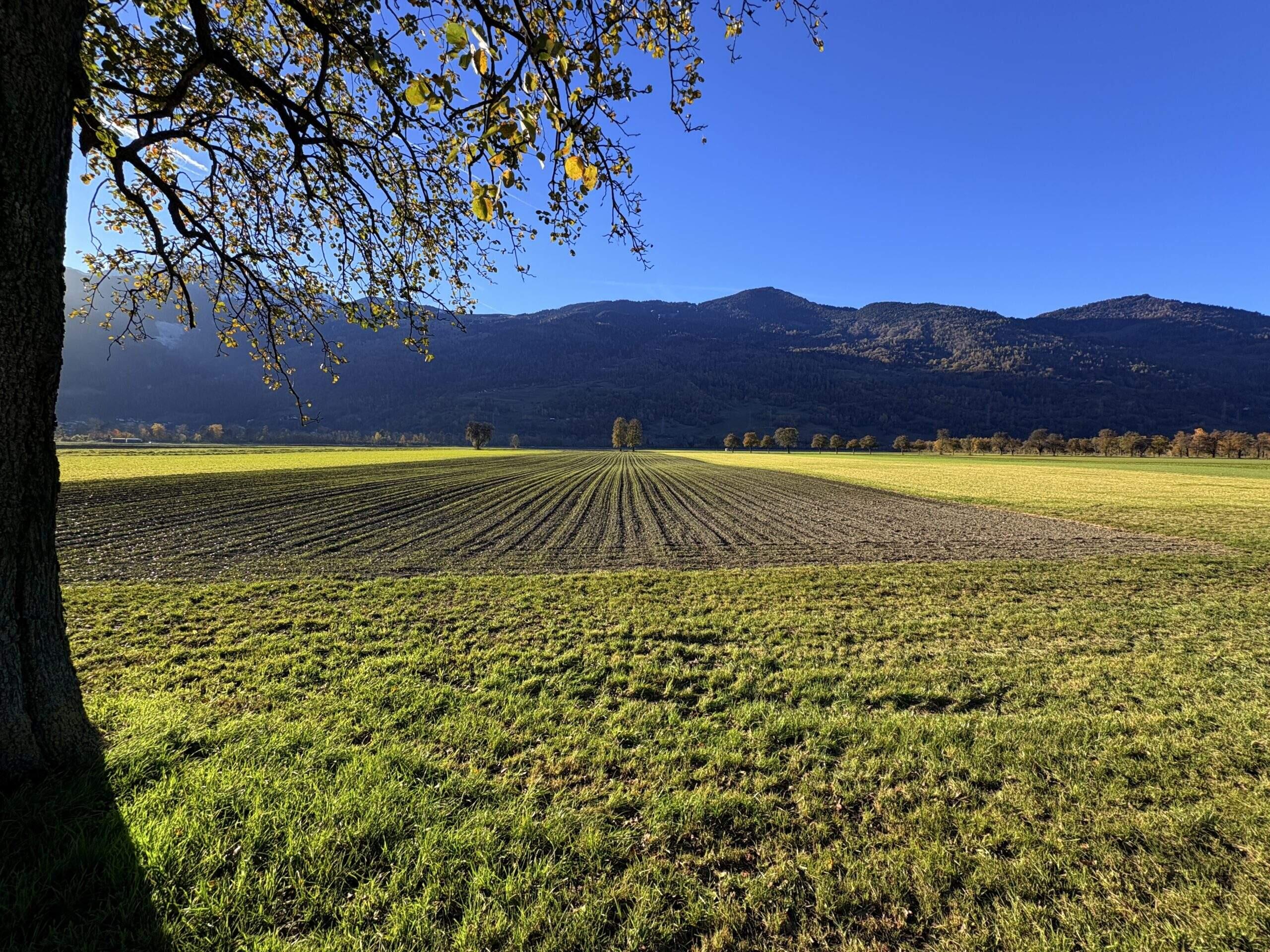Bild ohne Beschreibung Bild ohne Beschreibung