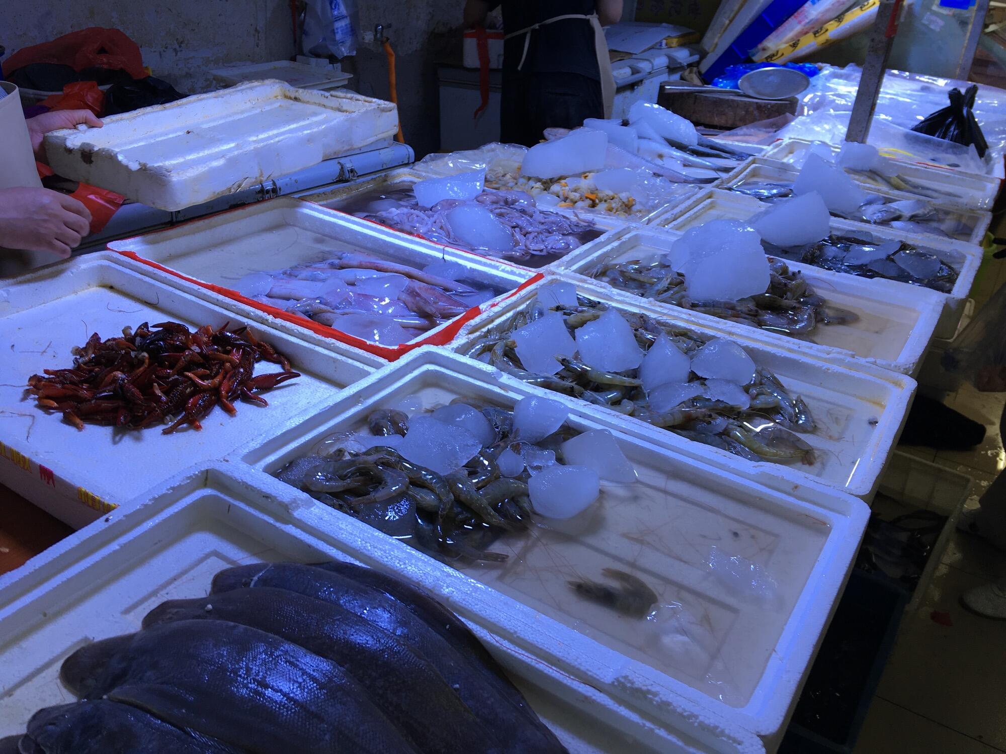 Bild ohne Beschreibung