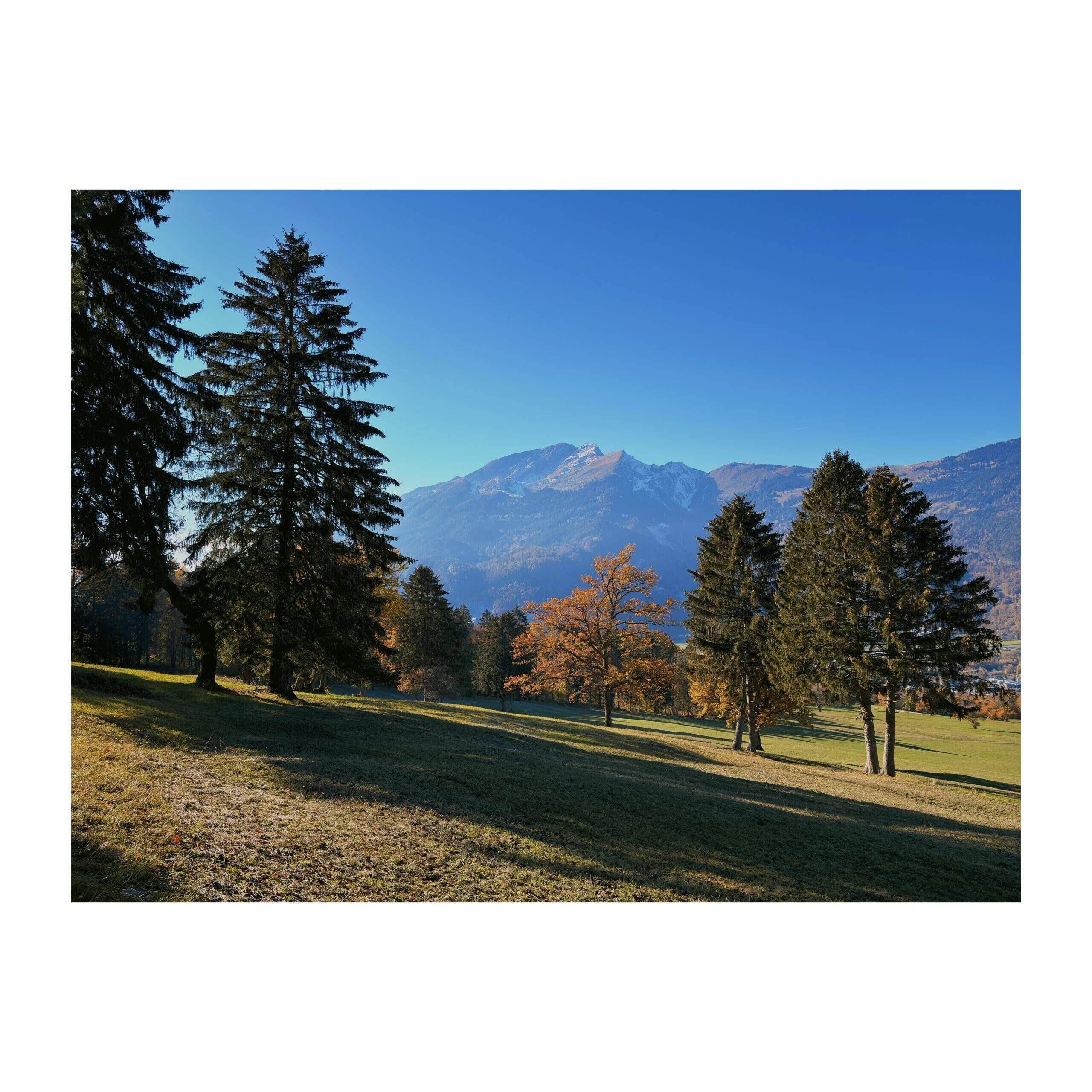 Bild ohne Beschreibung Bild ohne Beschreibung