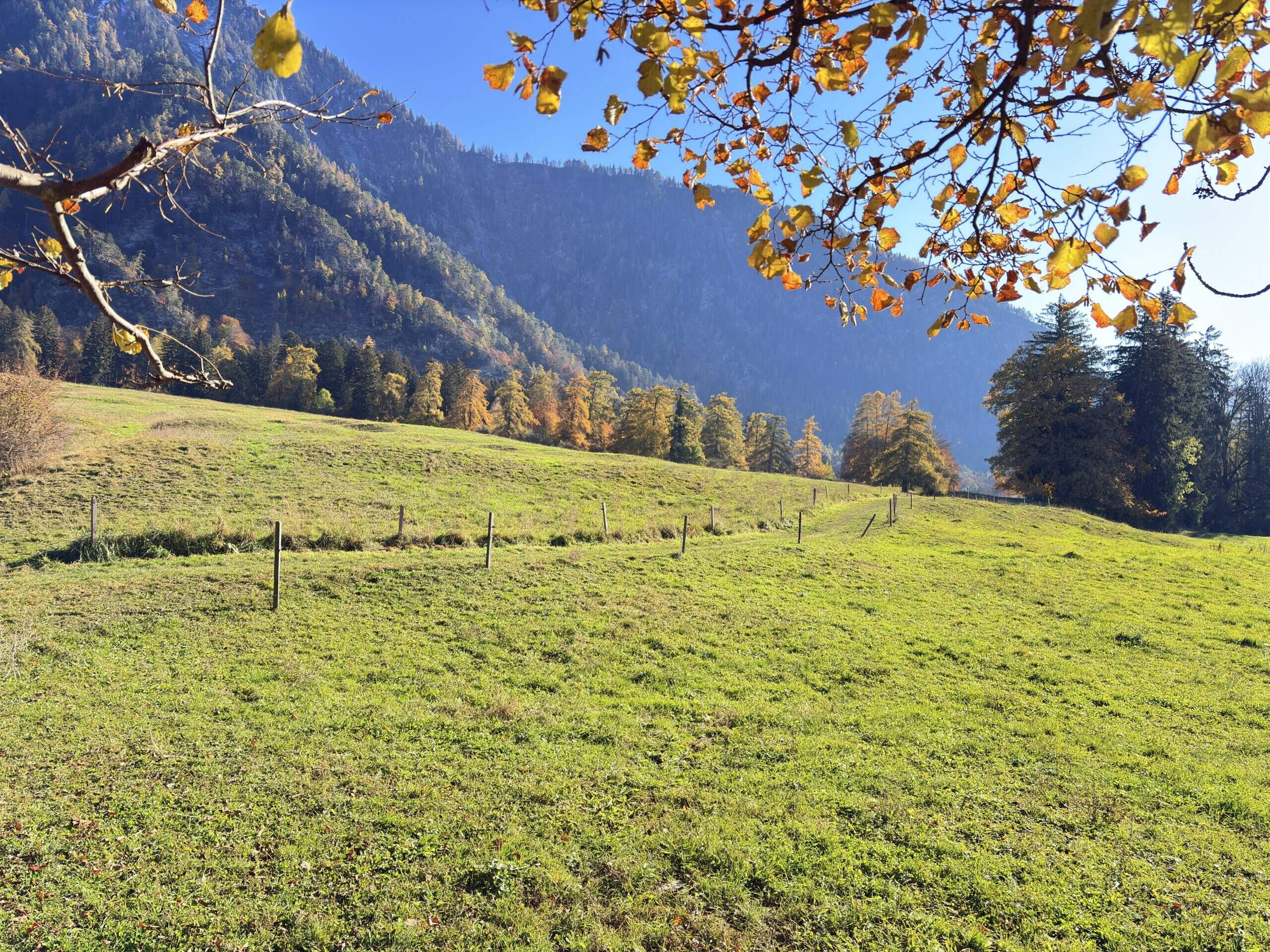 Bild ohne Beschreibung Bild ohne Beschreibung