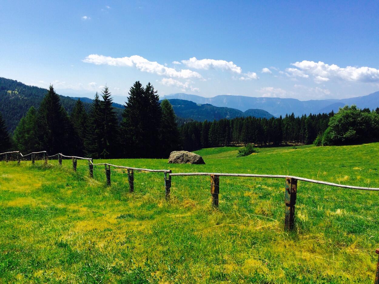 Bild ohne Beschreibung