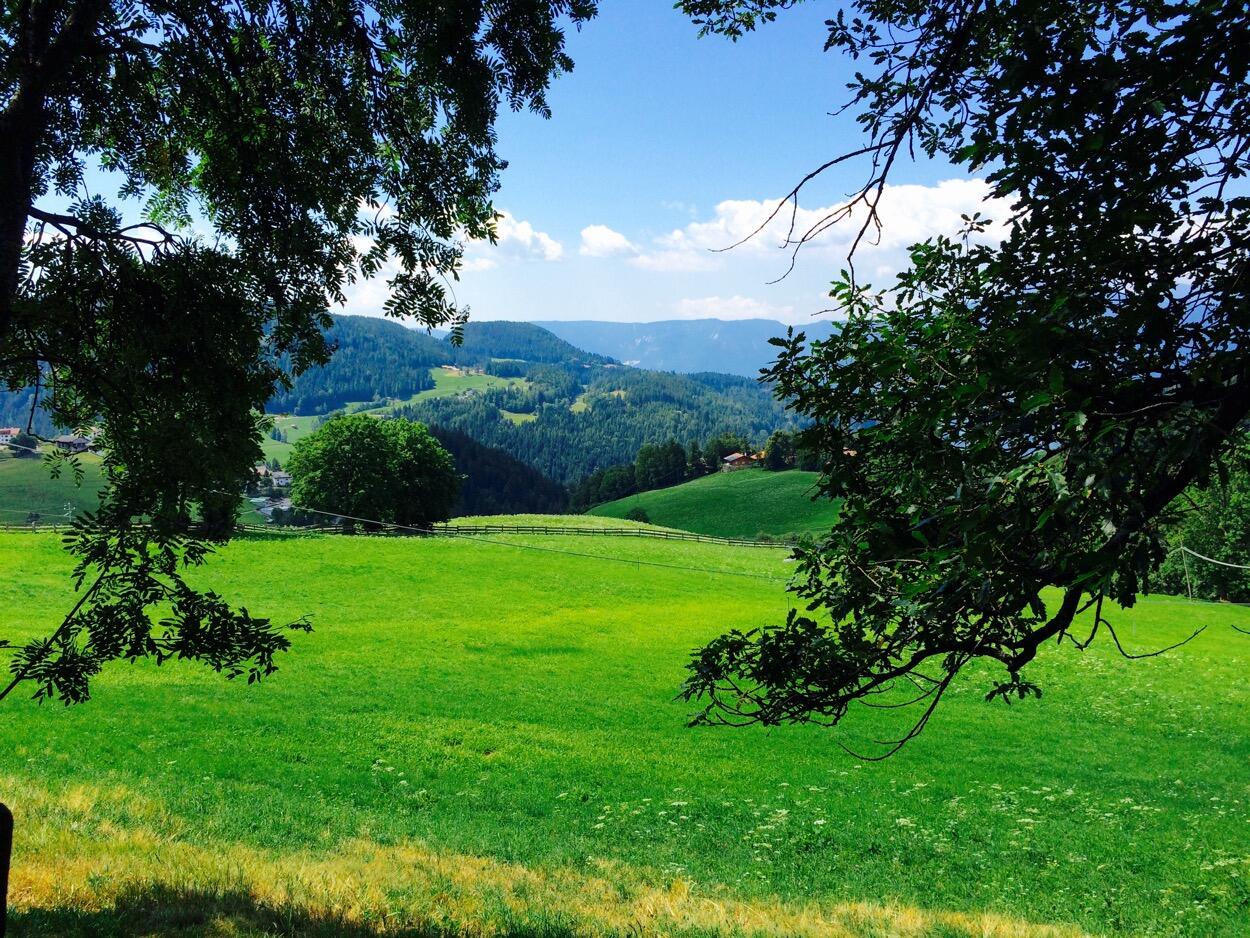 Bild ohne Beschreibung