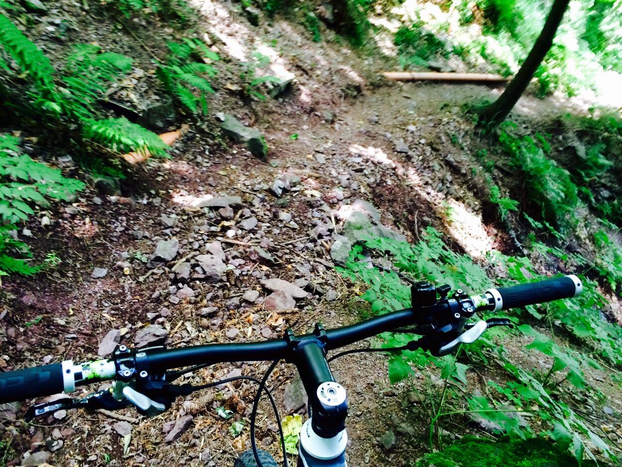 Bild ohne Beschreibung