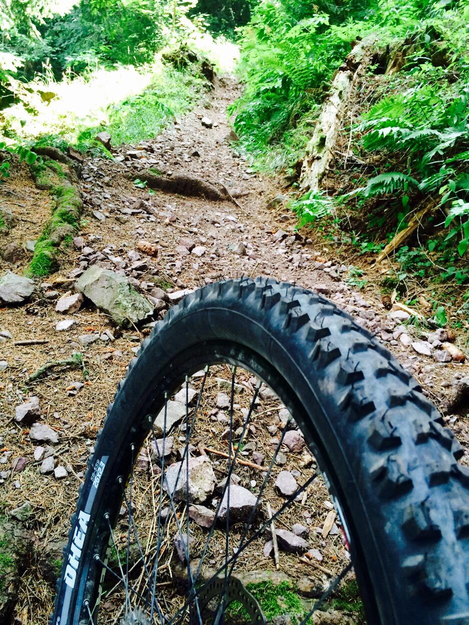 Bild ohne Beschreibung