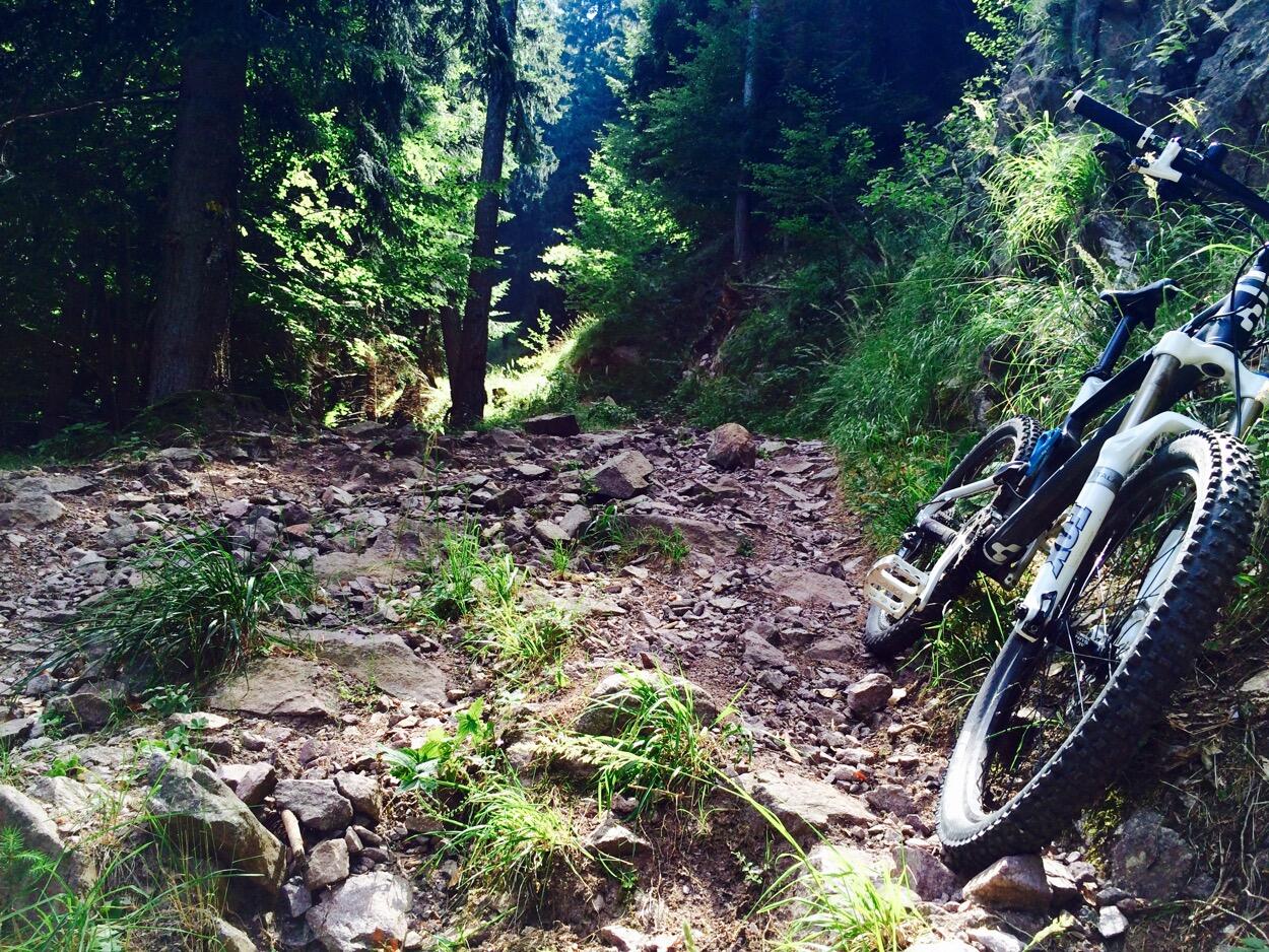 Bild ohne Beschreibung