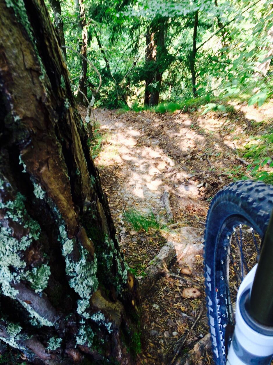 Bild ohne Beschreibung