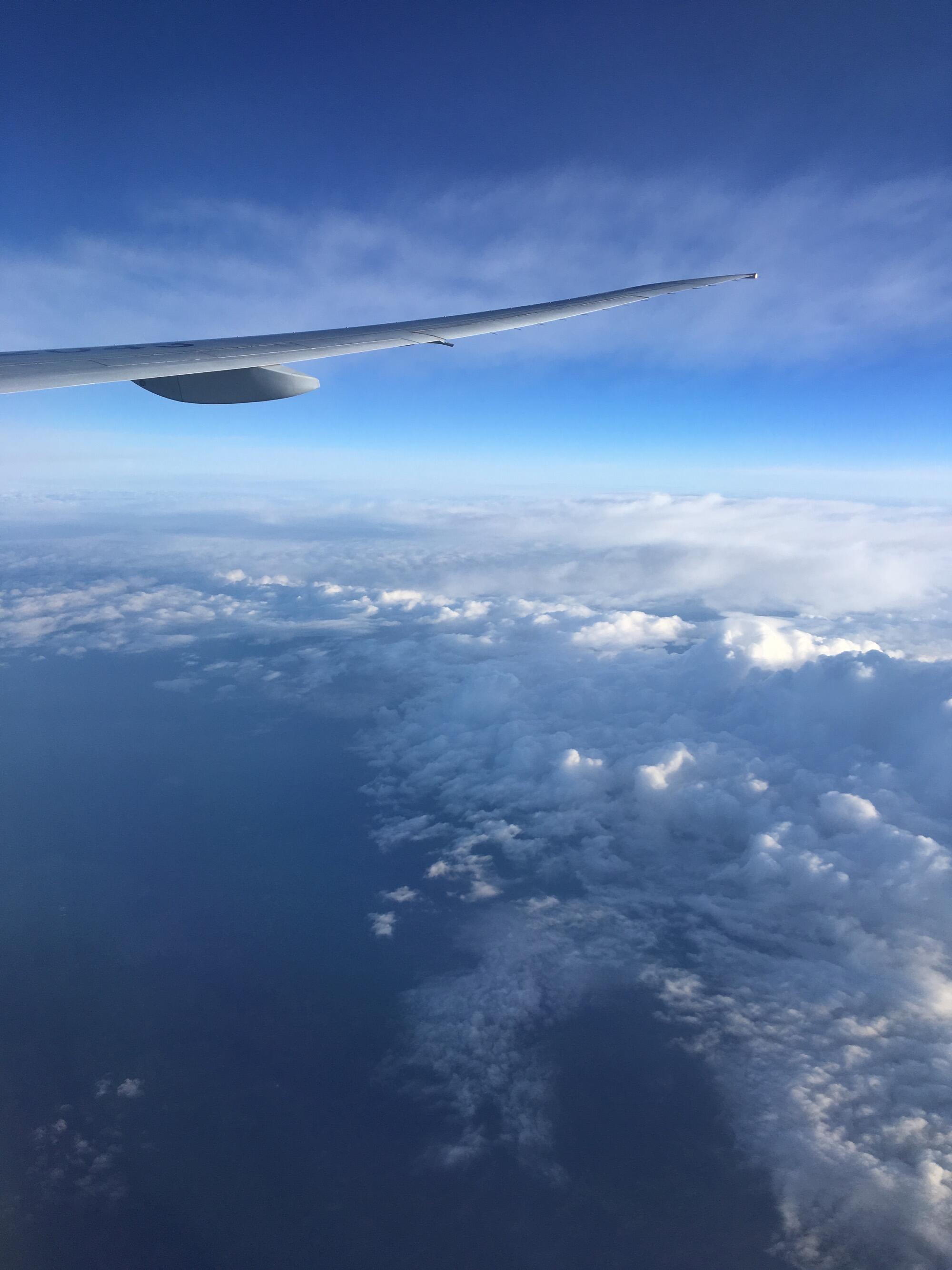 Bild ohne Beschreibung