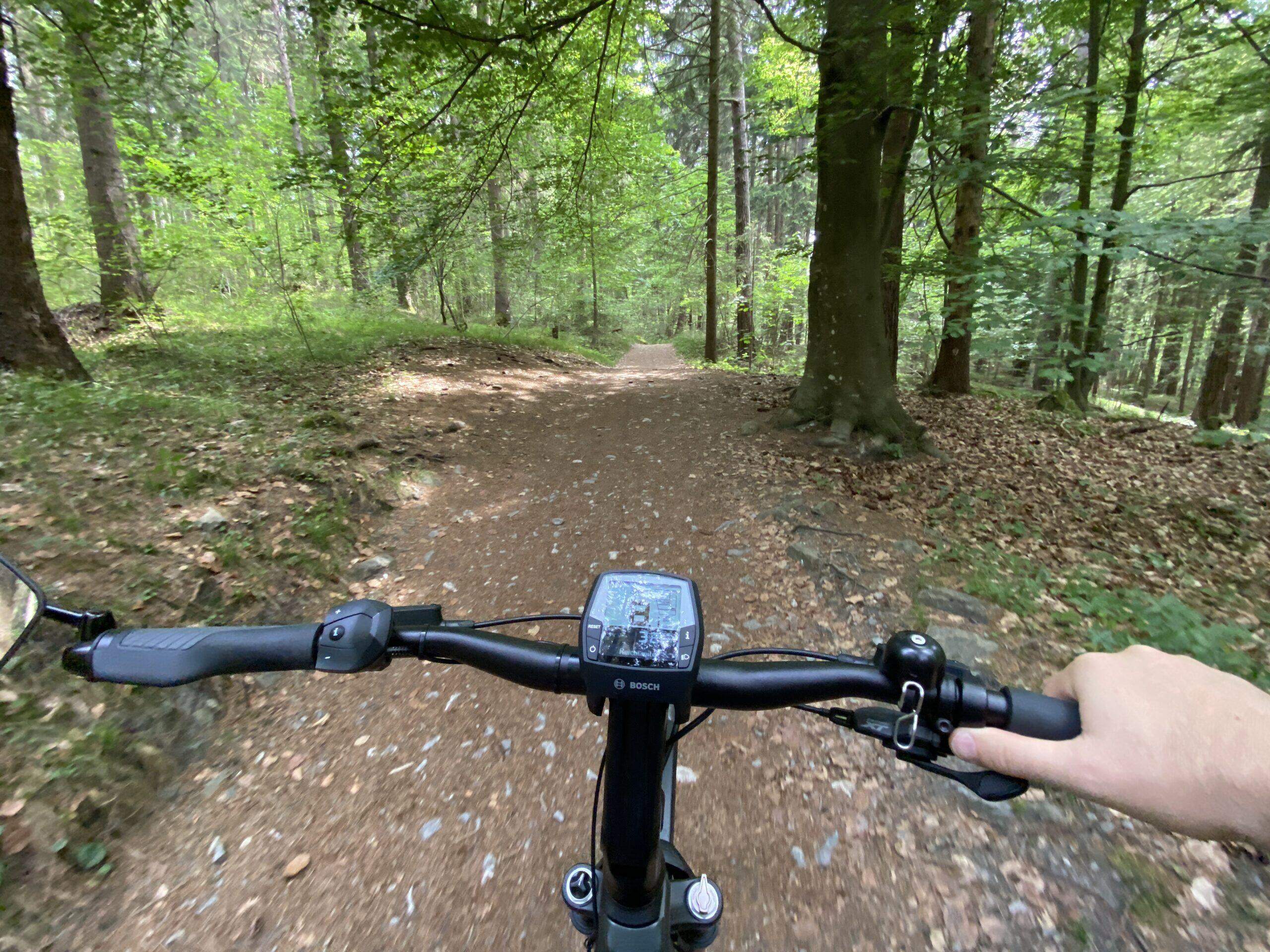 Bild ohne Beschreibung