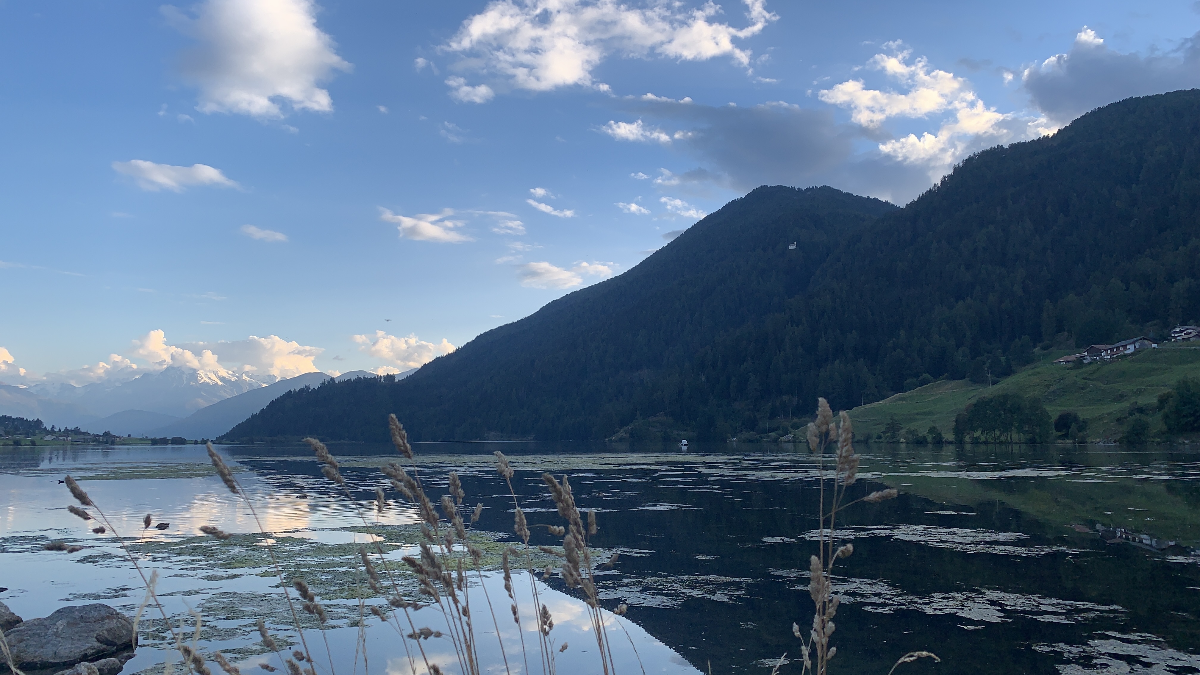 Bild ohne Beschreibung