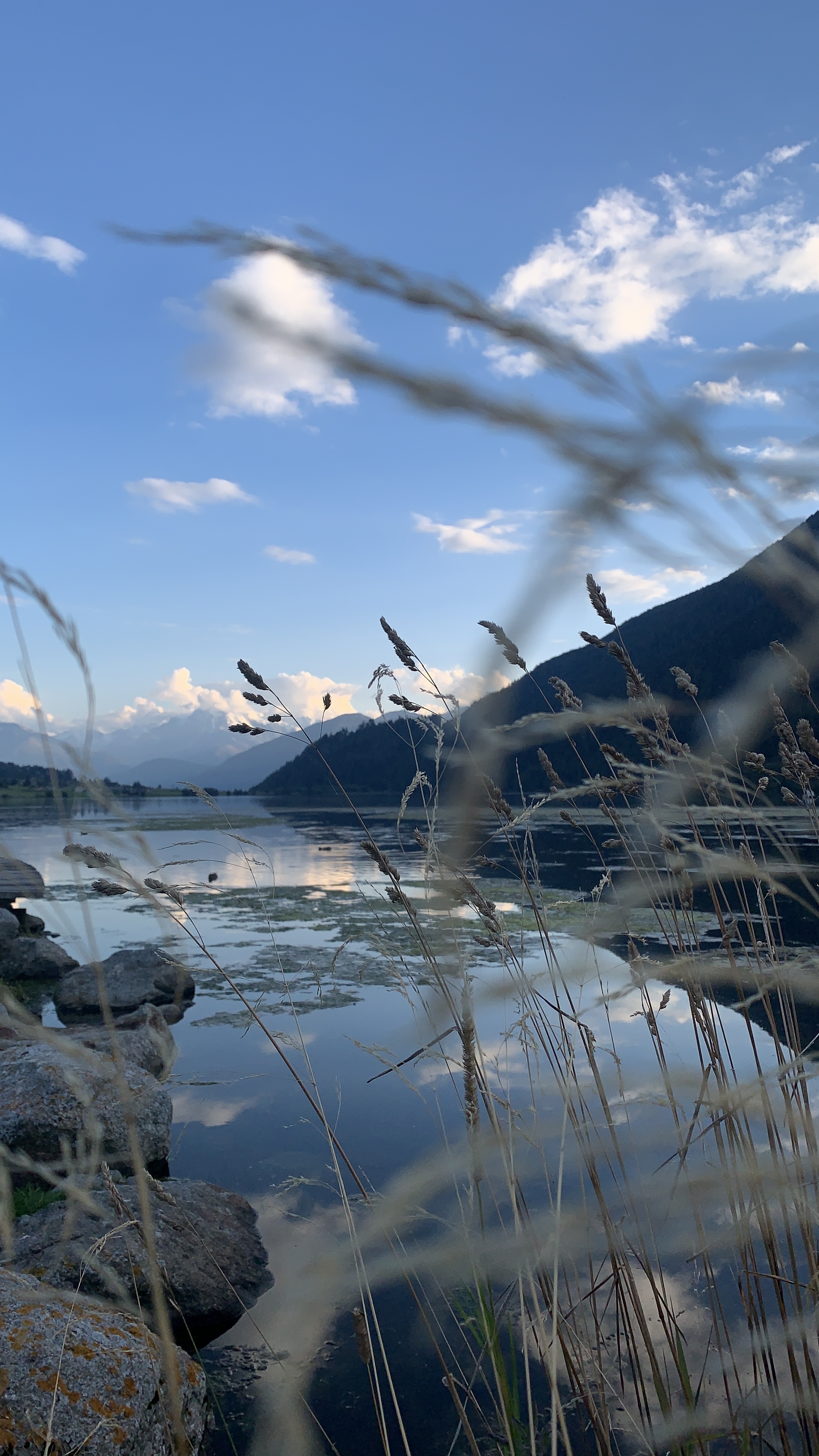 Bild ohne Beschreibung