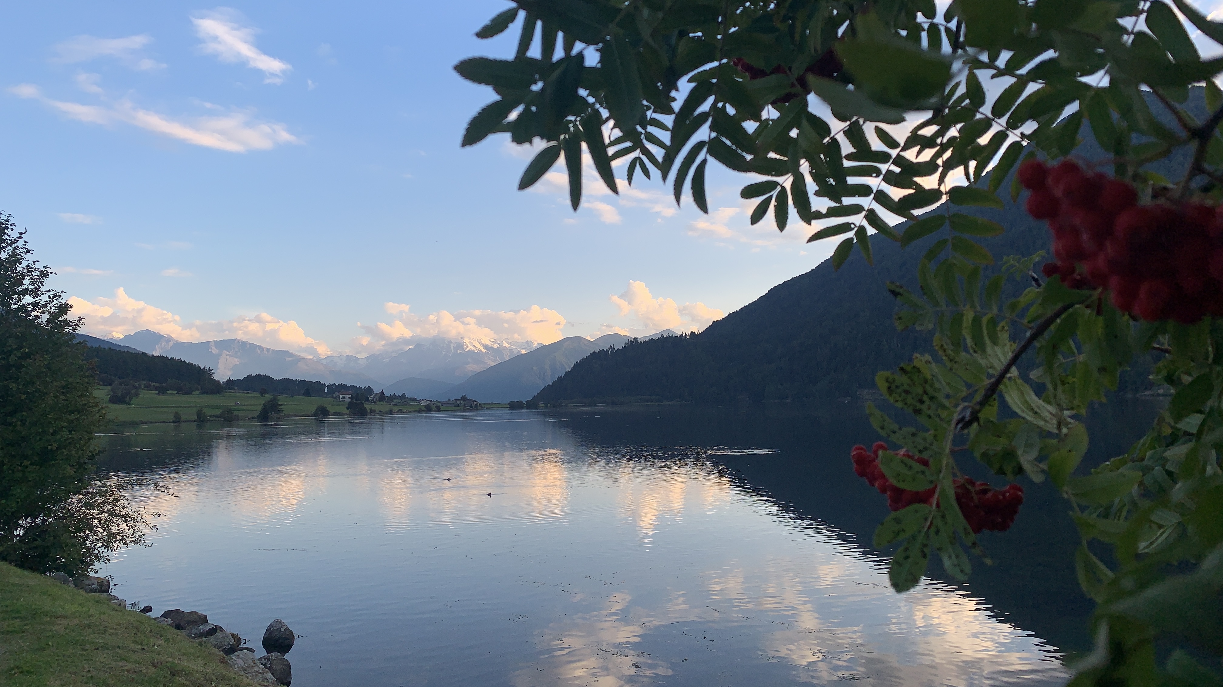 Bild ohne Beschreibung