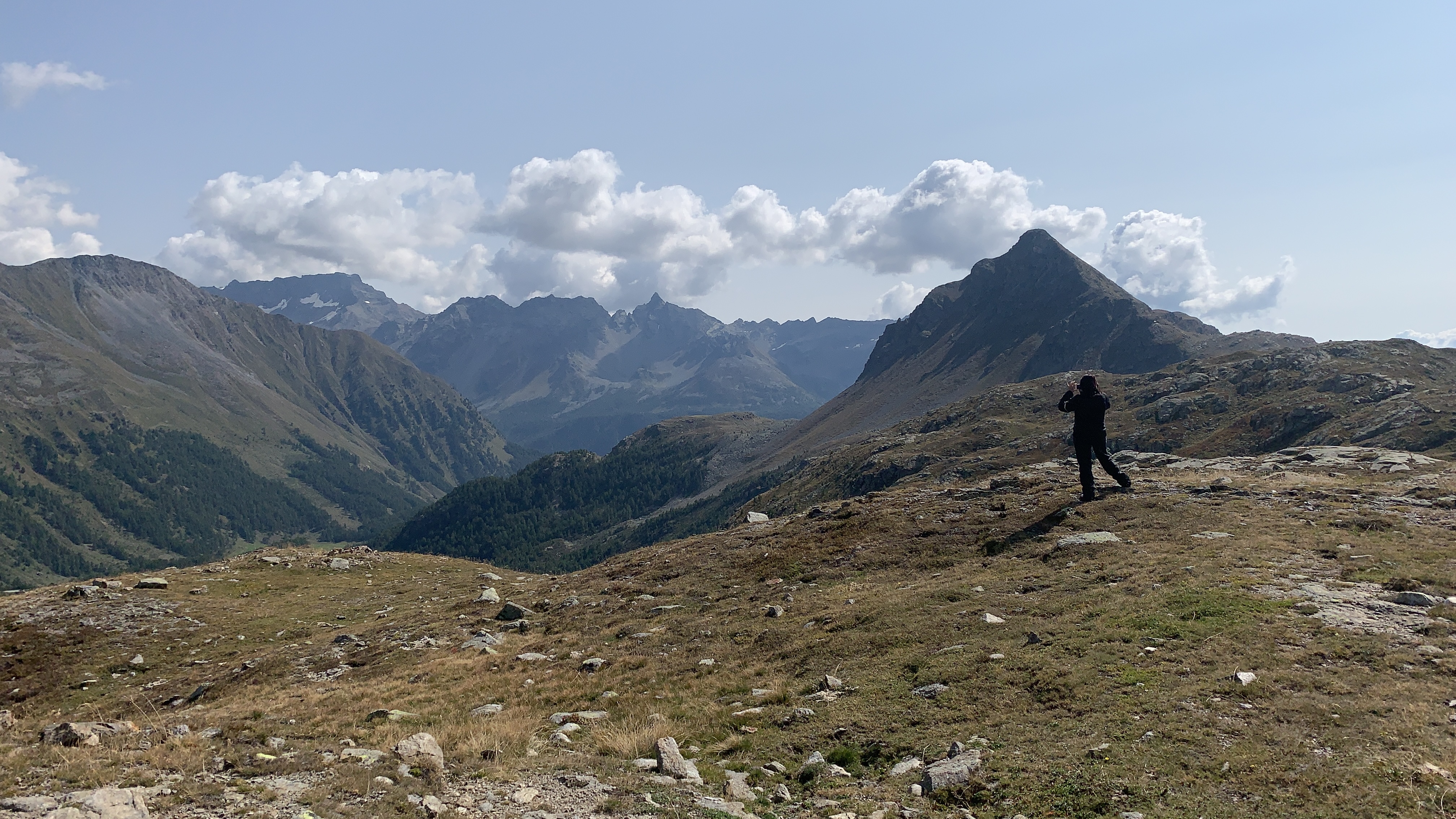 Bild ohne Beschreibung