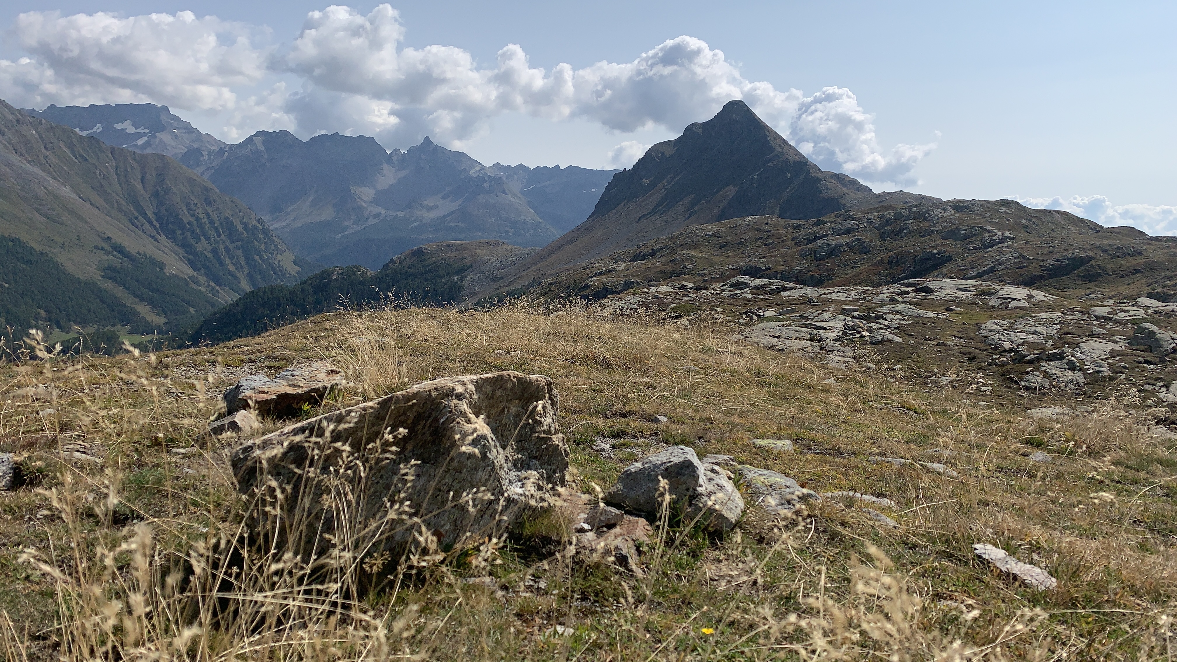 Bild ohne Beschreibung