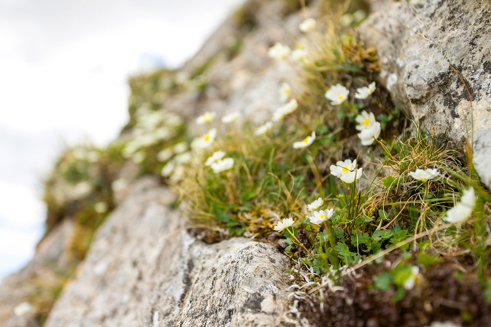 Bild ohne Beschreibung