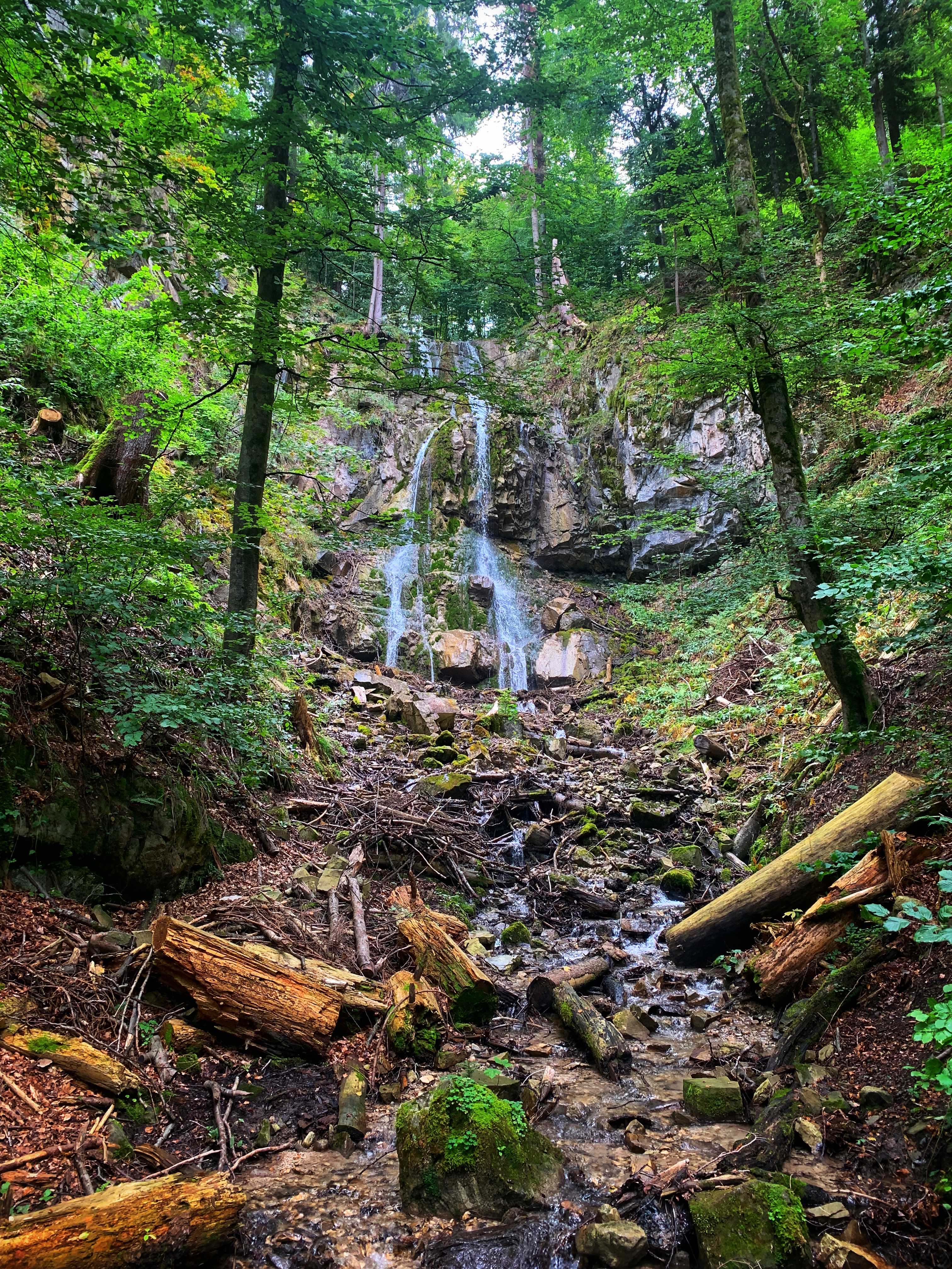 Bild ohne Beschreibung