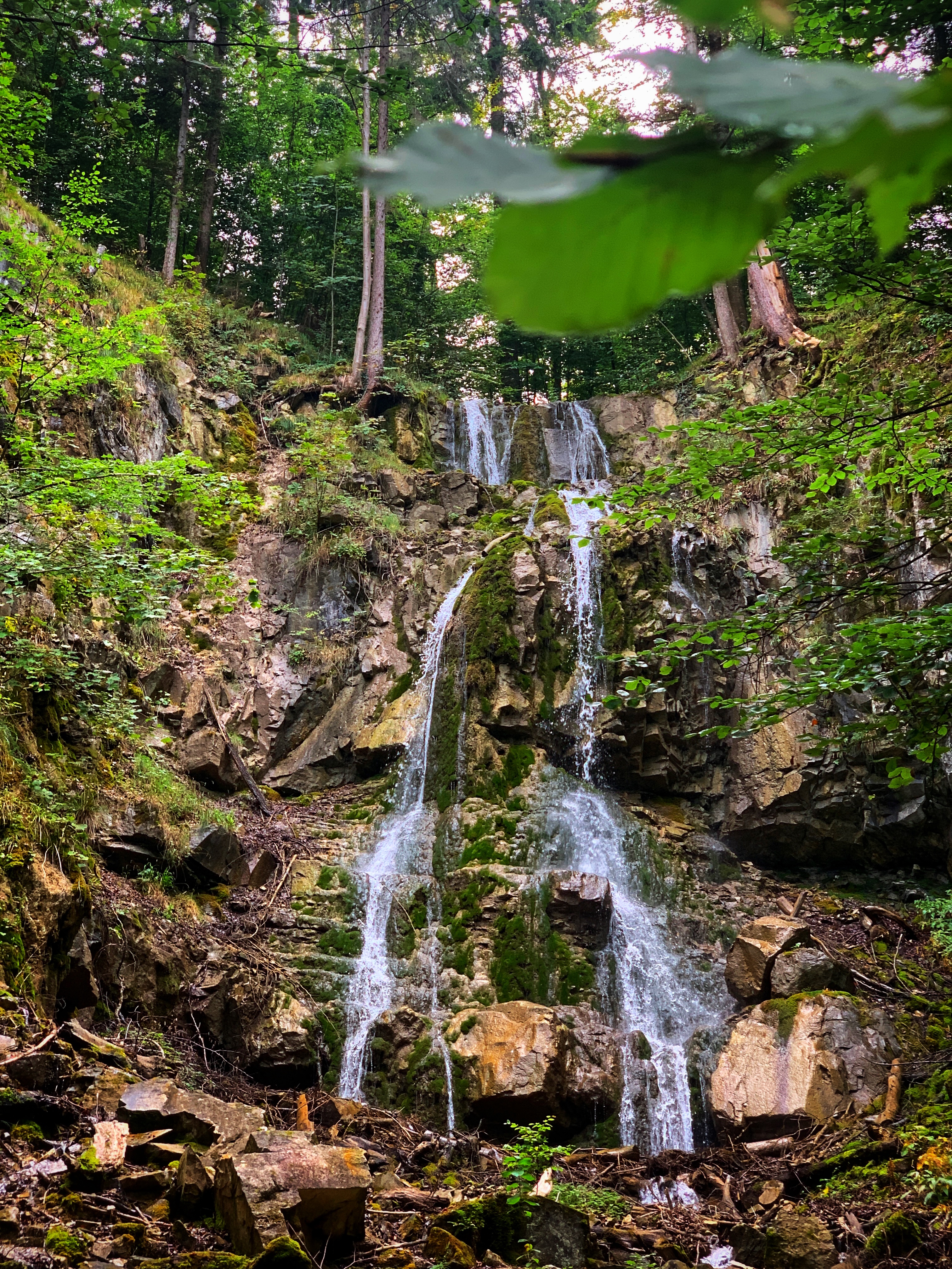 Bild ohne Beschreibung