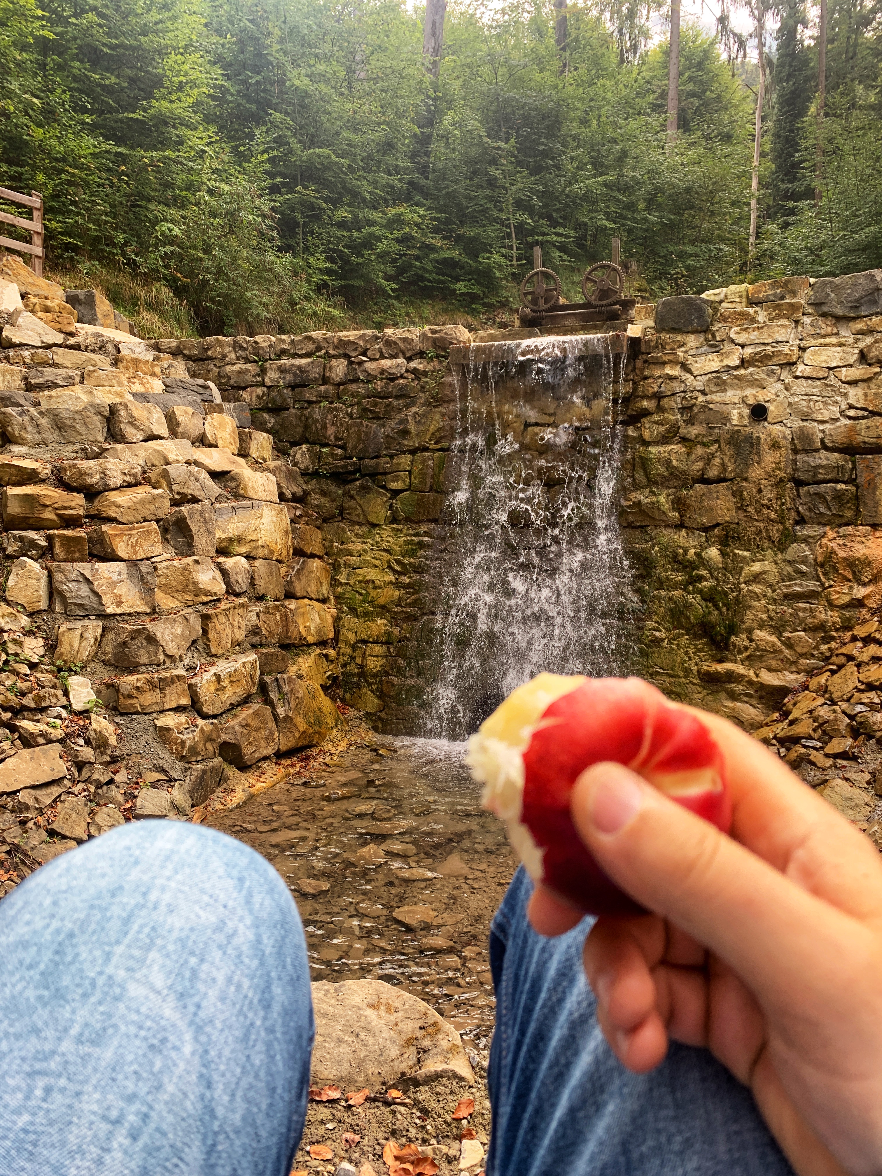 Bild ohne Beschreibung