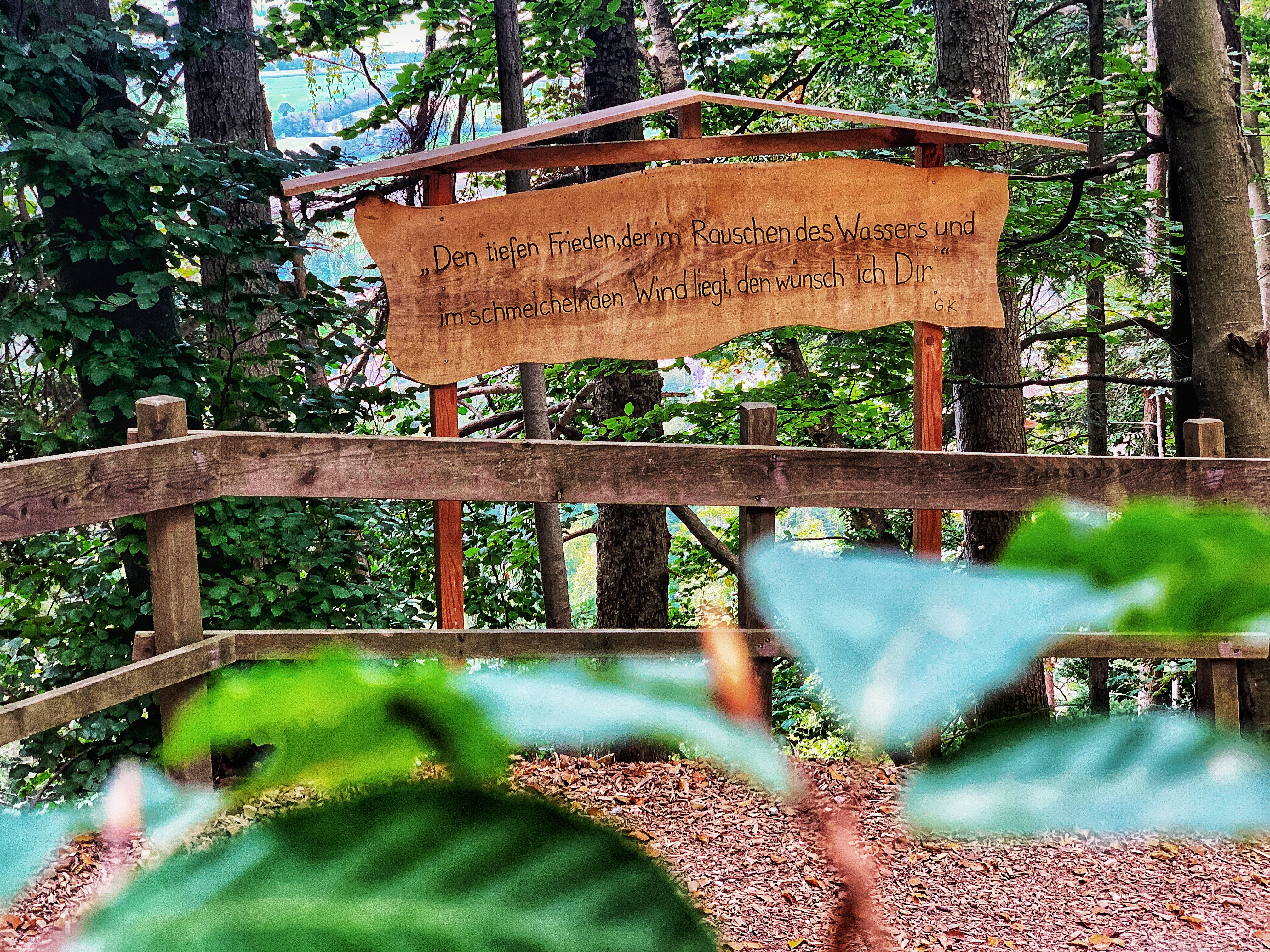 Bild ohne Beschreibung