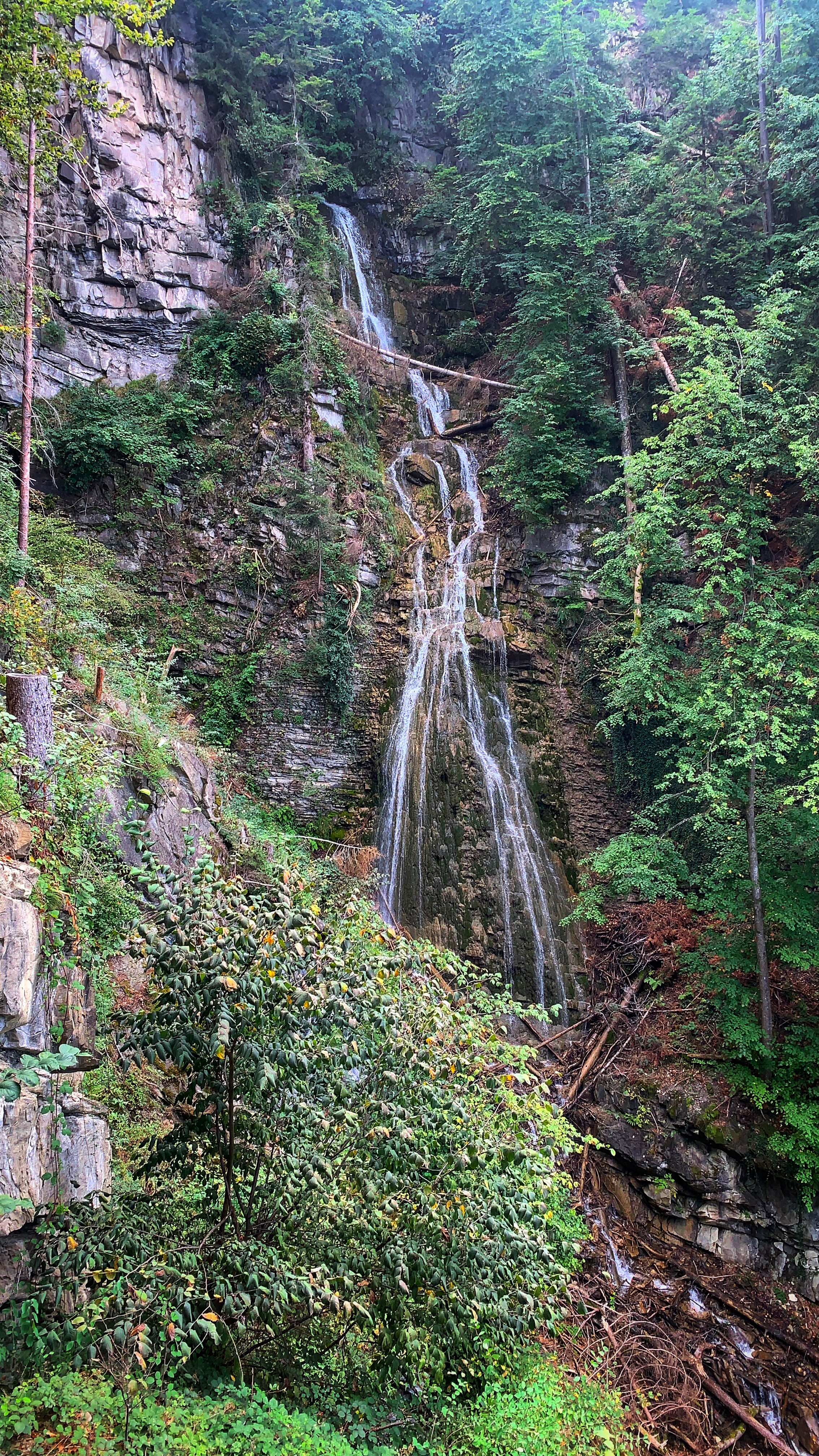 Bild ohne Beschreibung