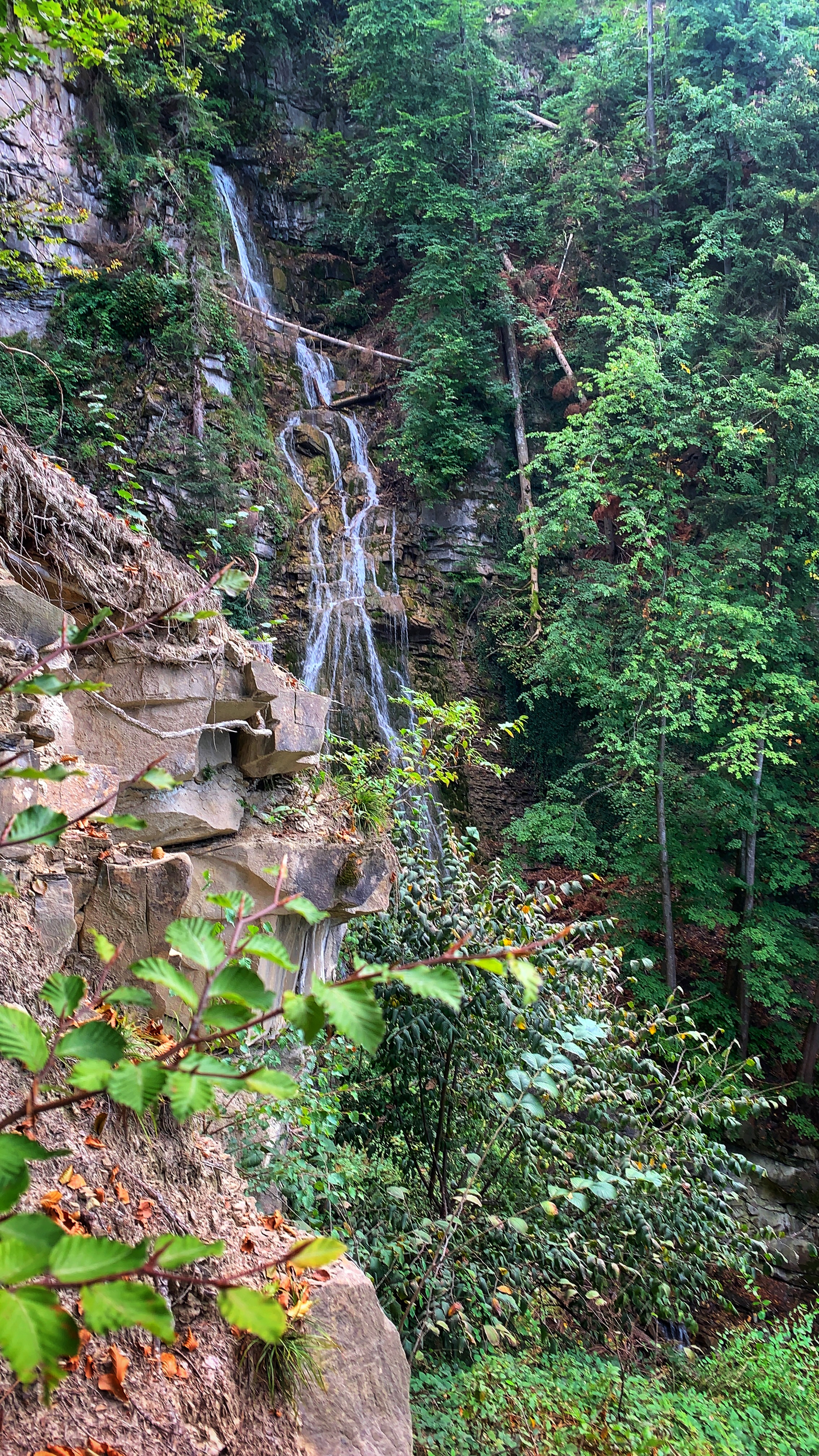 Bild ohne Beschreibung