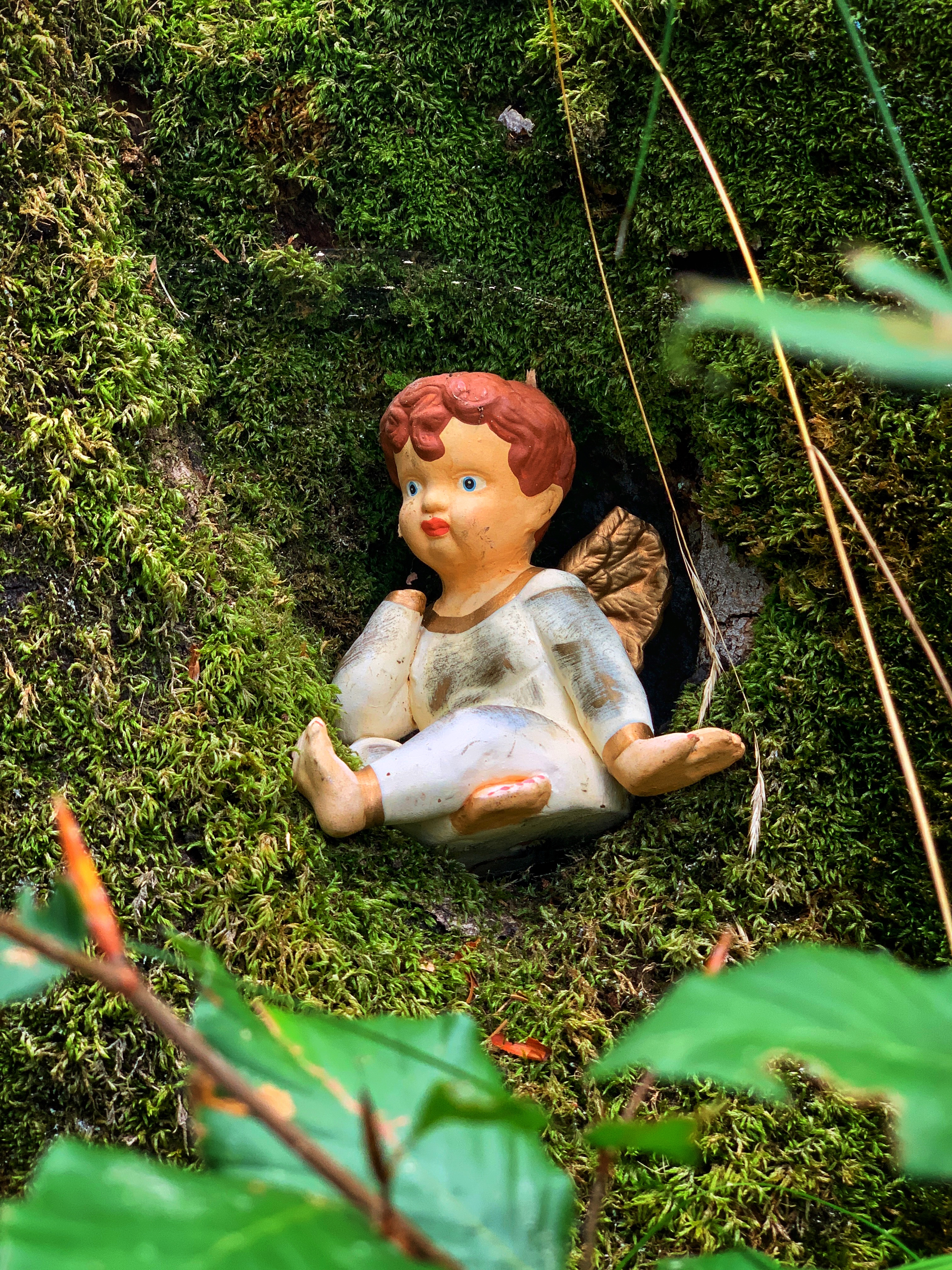 Bild ohne Beschreibung