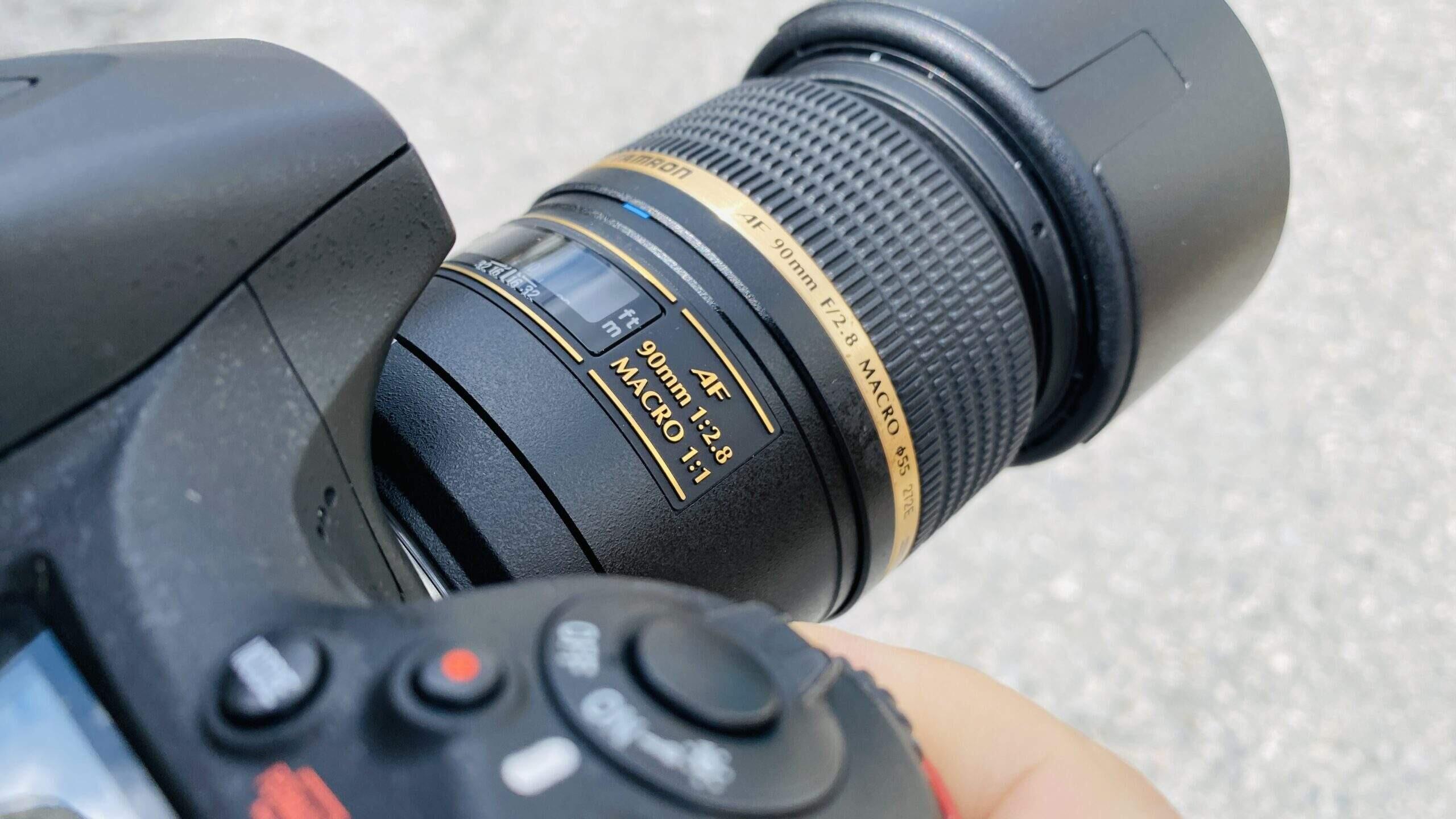 Bild ohne Beschreibung Bild ohne Beschreibung