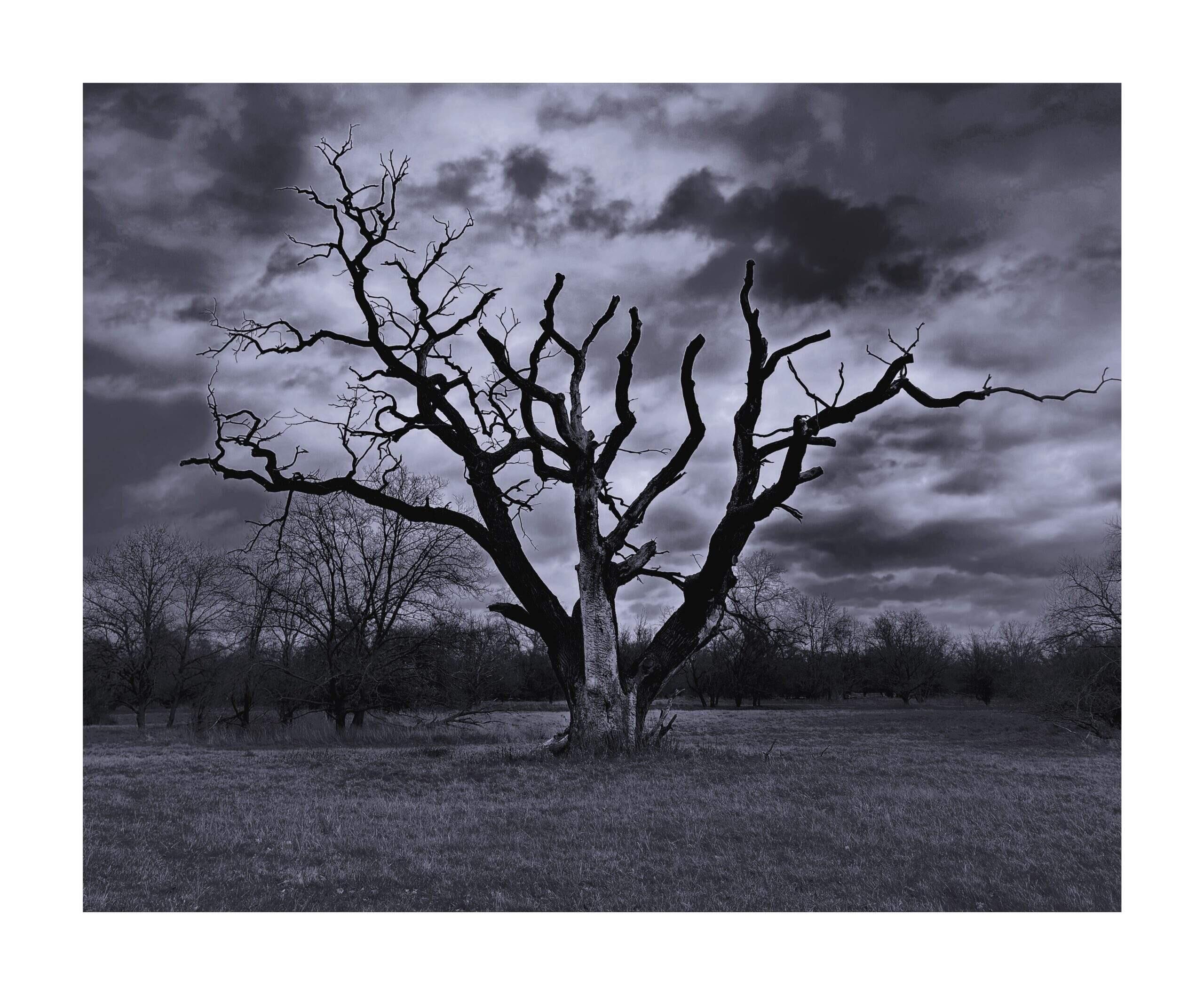 Bild ohne Beschreibung Bild ohne Beschreibung