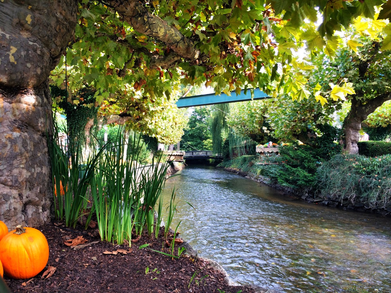 Bild ohne Beschreibung