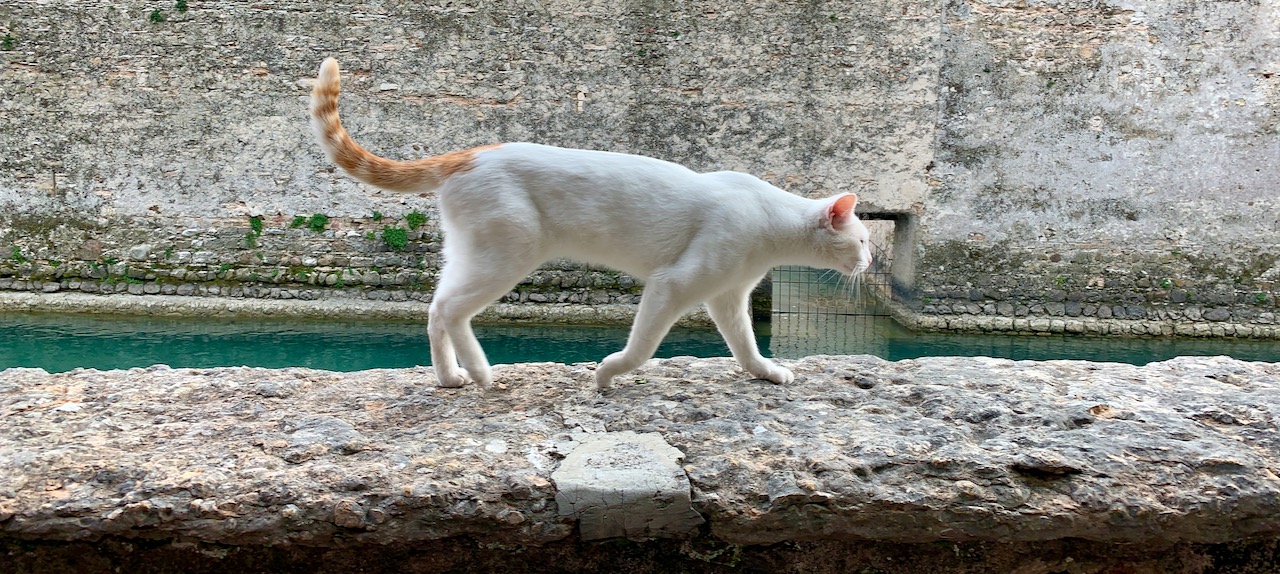 Bild ohne Beschreibung Bild ohne Beschreibung